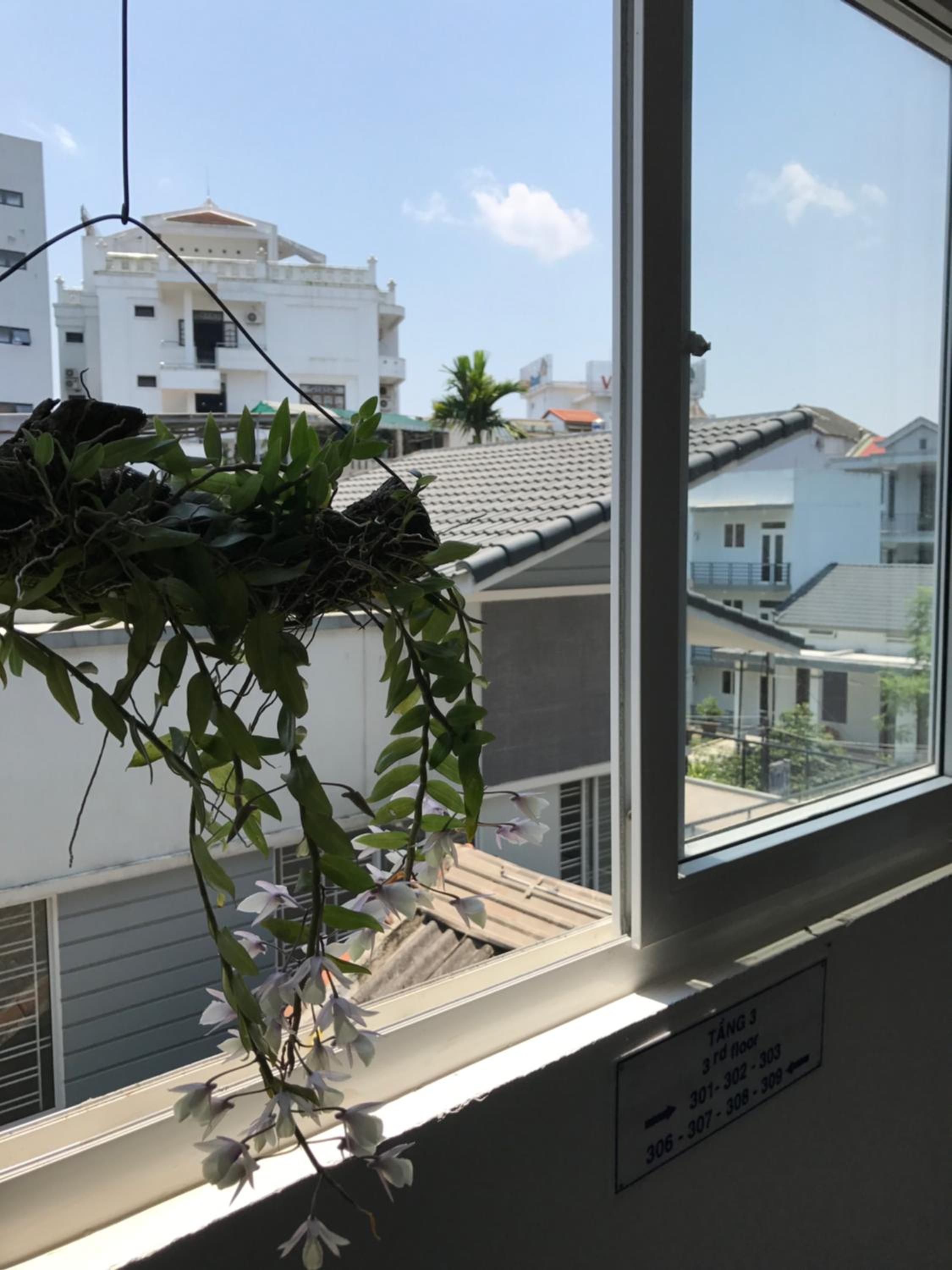 Triple Room with Balcony photo 3