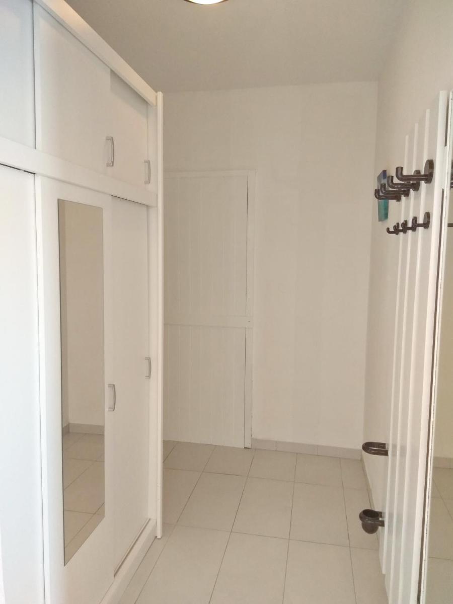 Studio Apartment with Terrace photo 3