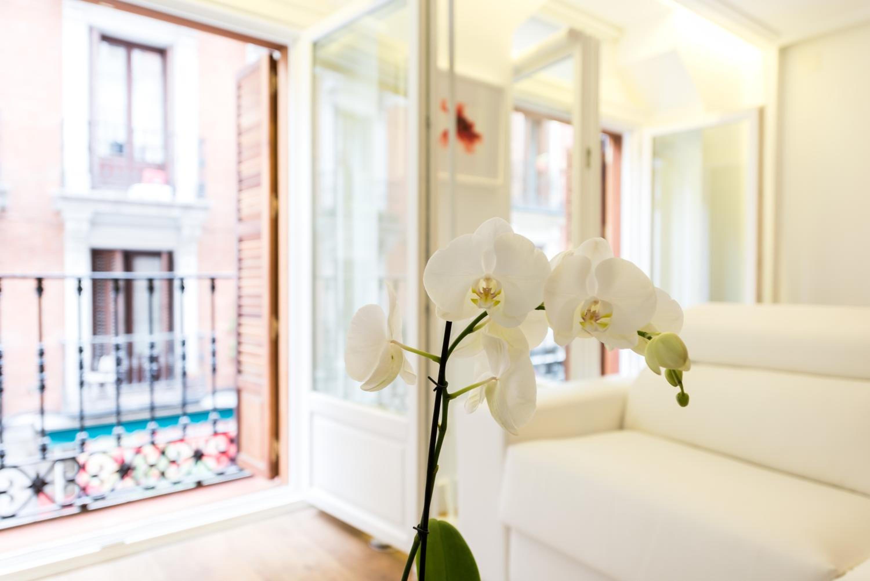 Superior Apartment photo 2