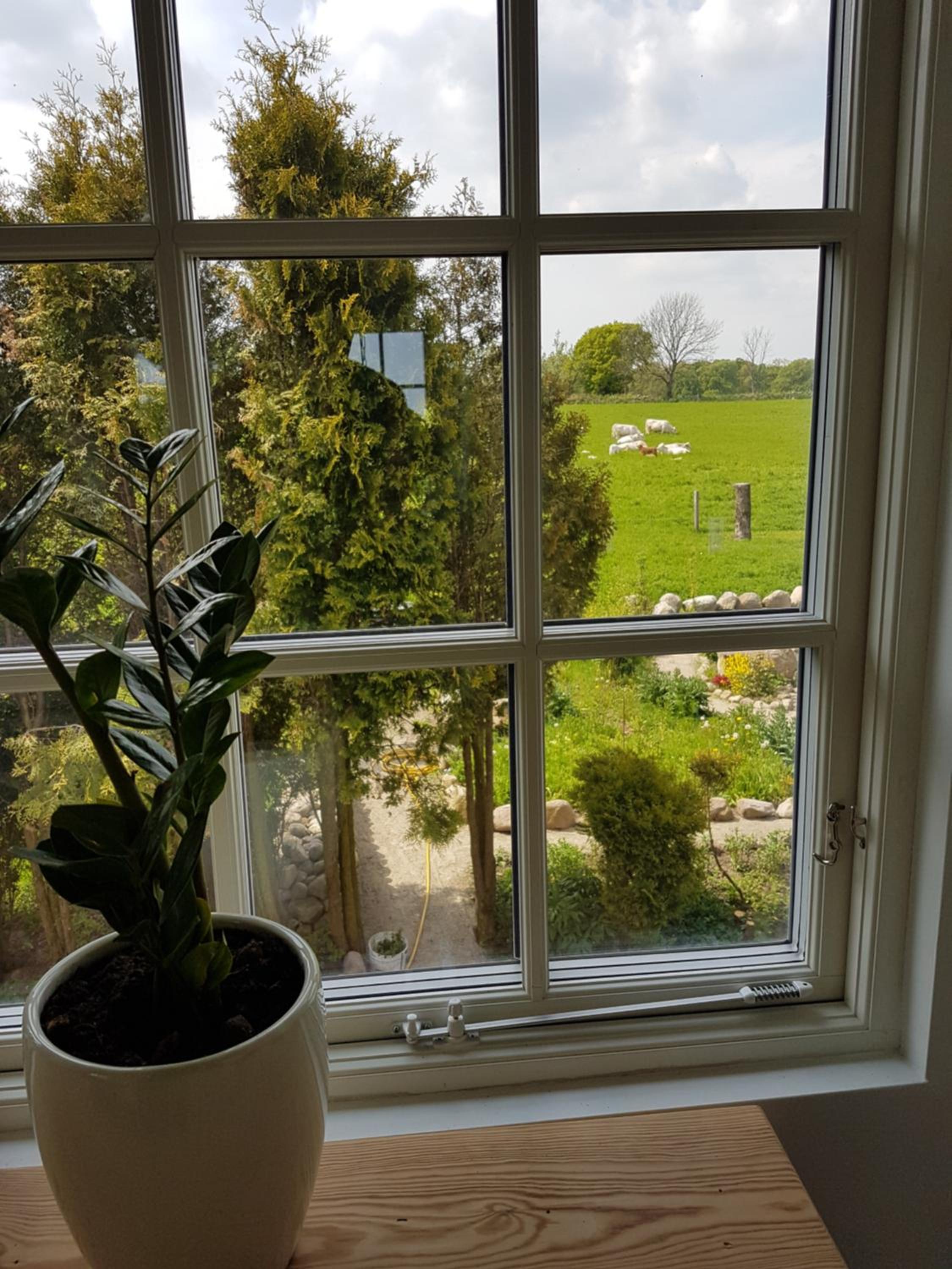 Double Room with Sea View photo 2