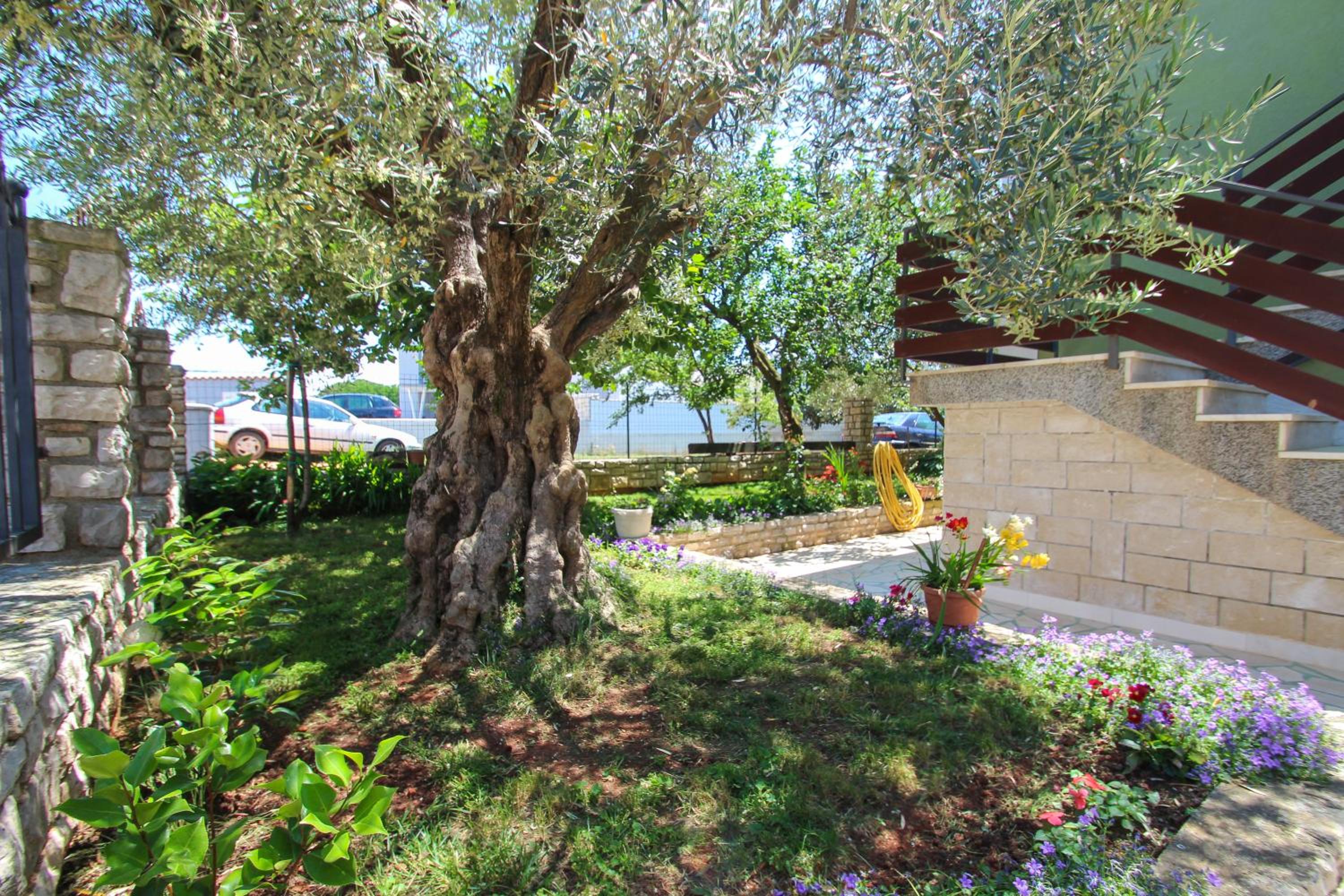 Apartment with Garden View