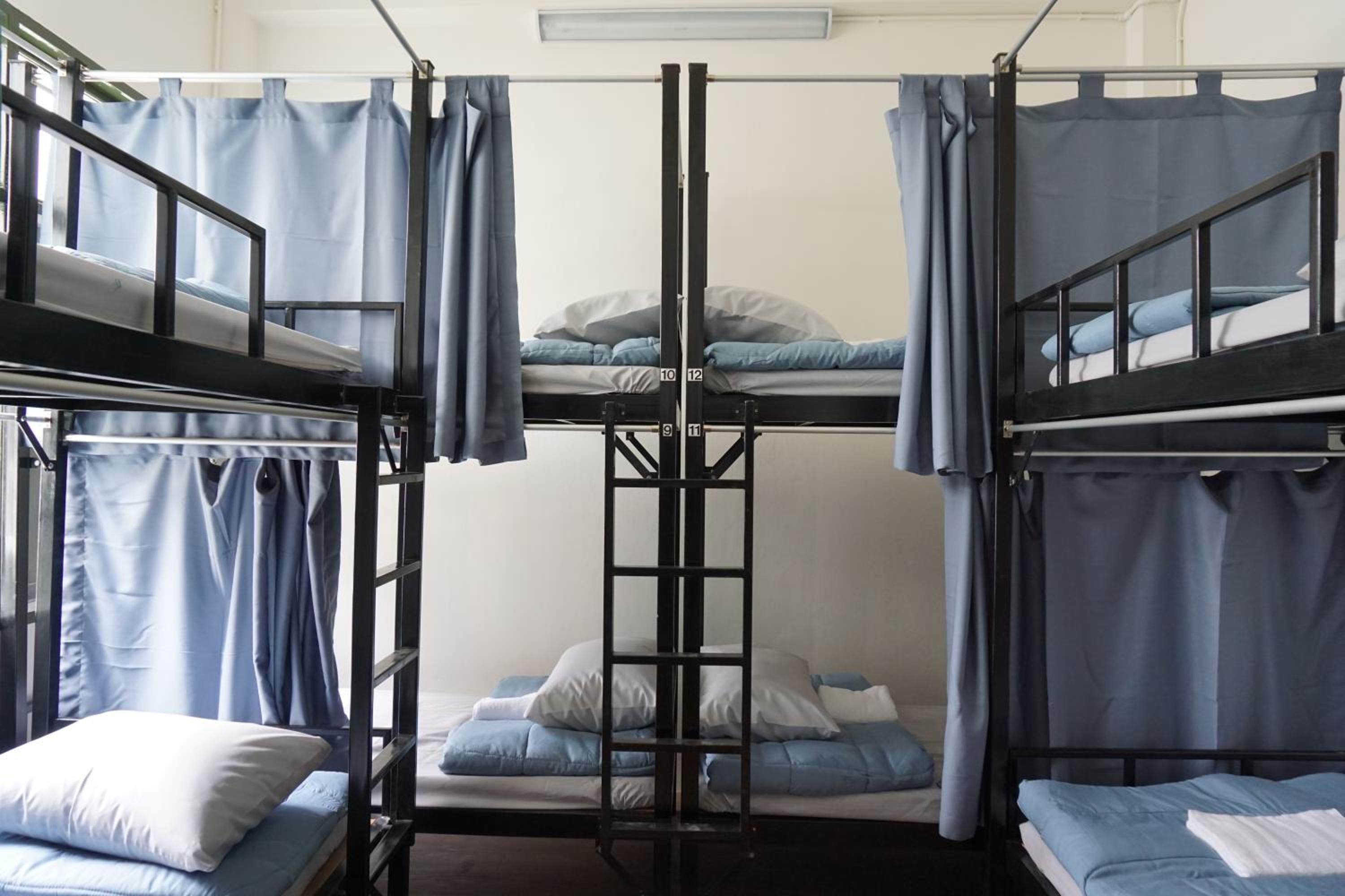 Bunk Bed in Mixed Dormitory Room photo 3