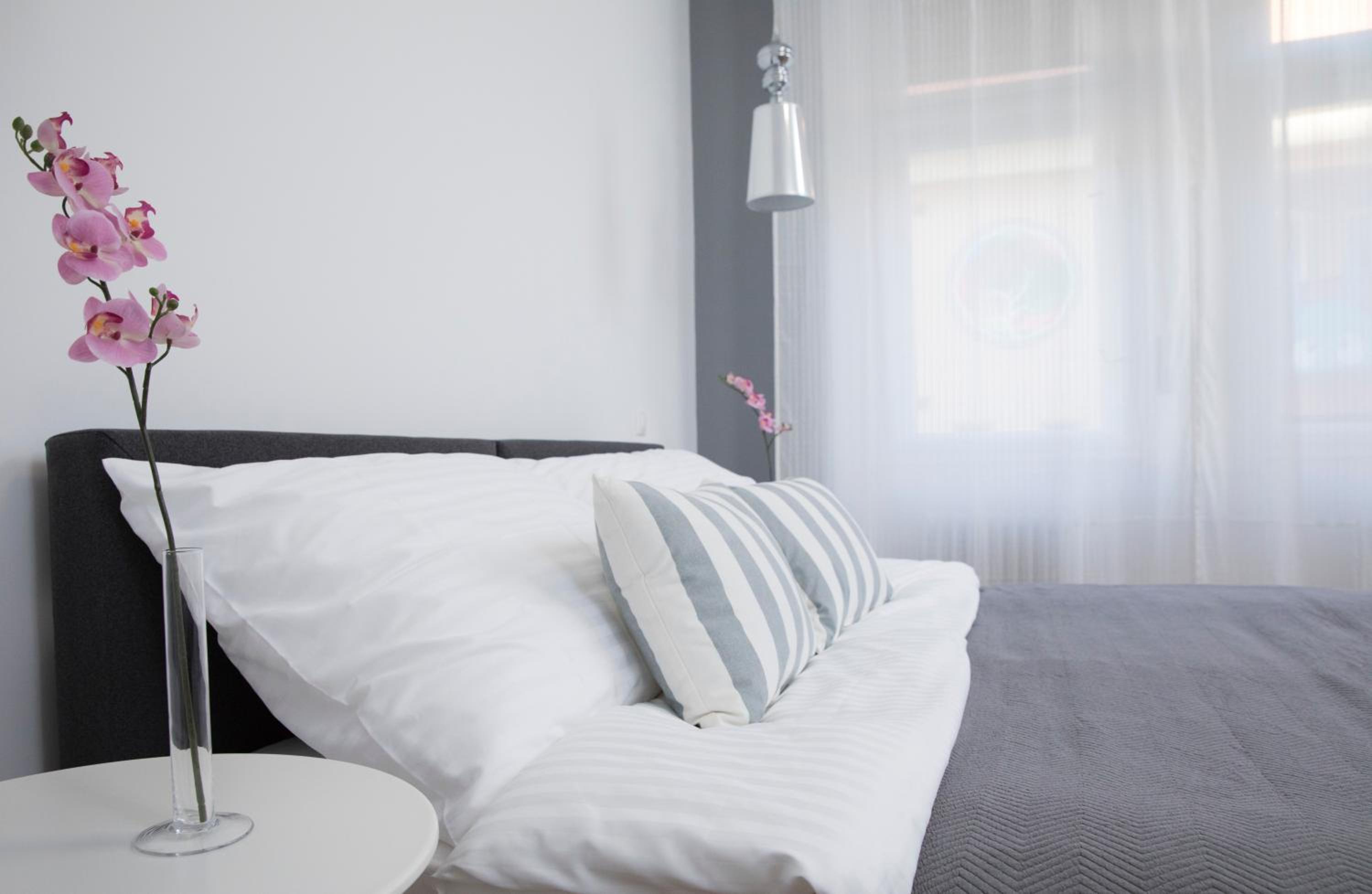 Studio Apartment - Photo 5