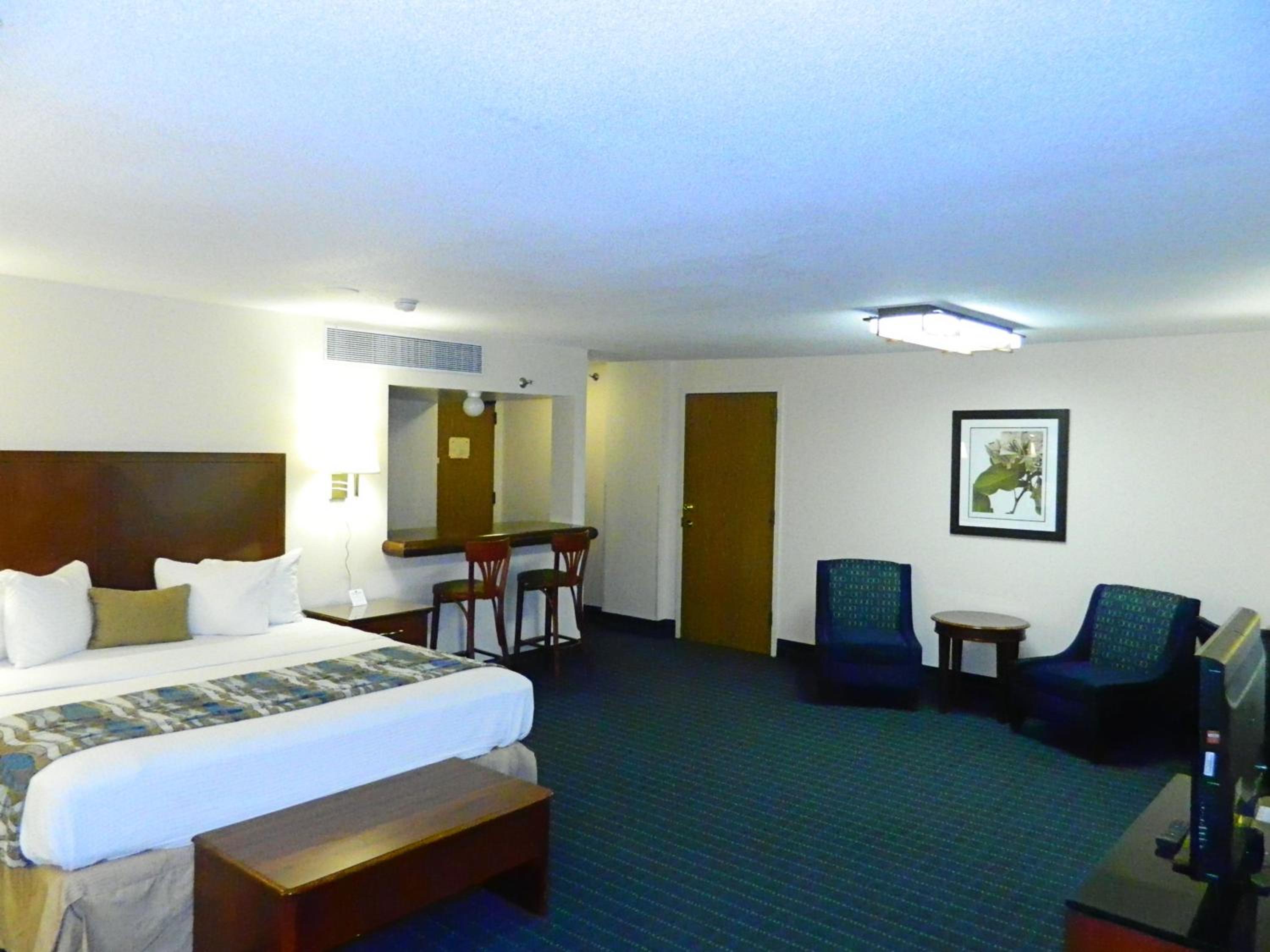 King Suite photo 3