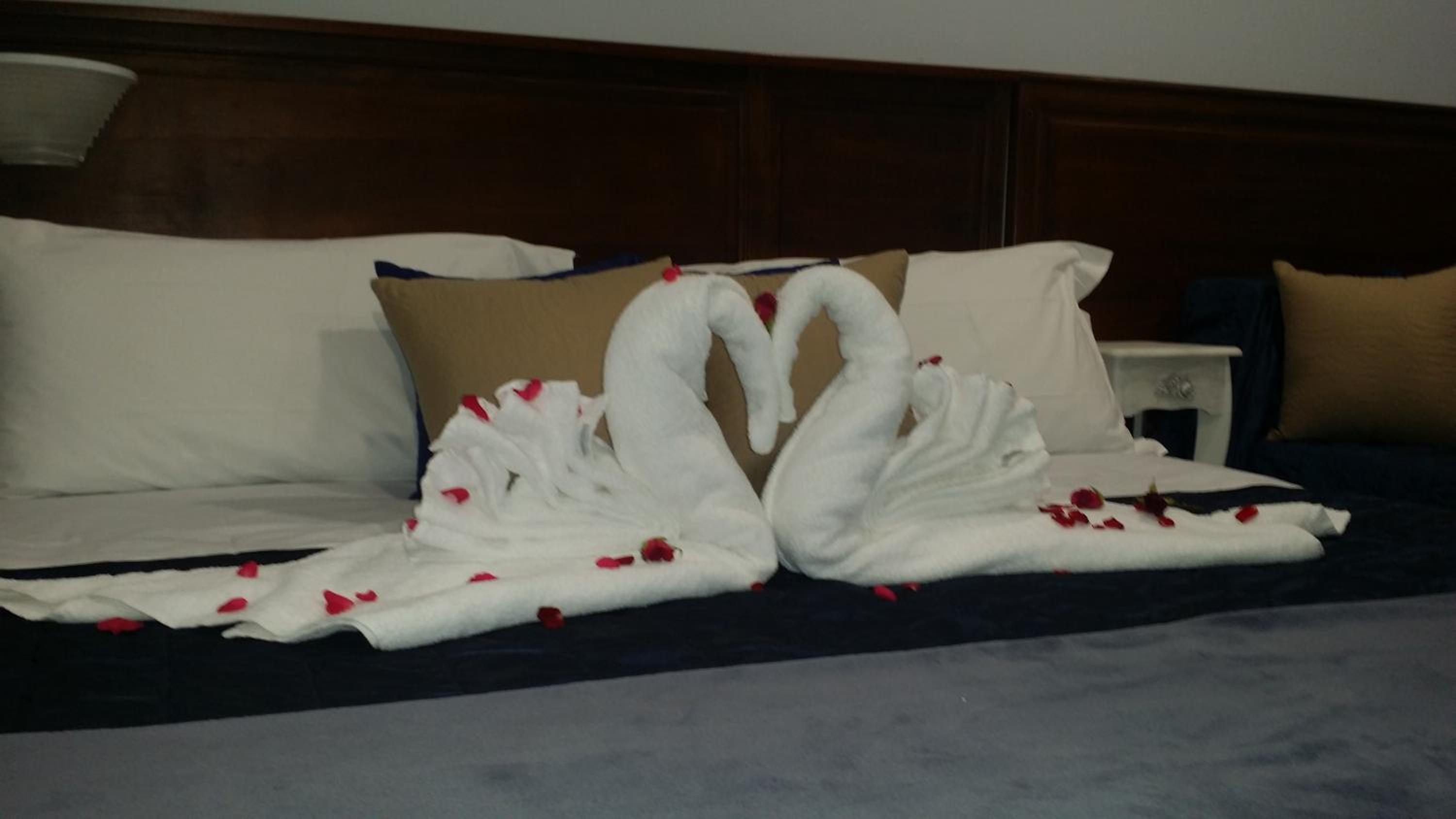 Hotel Giulio Cesare, Billede 3