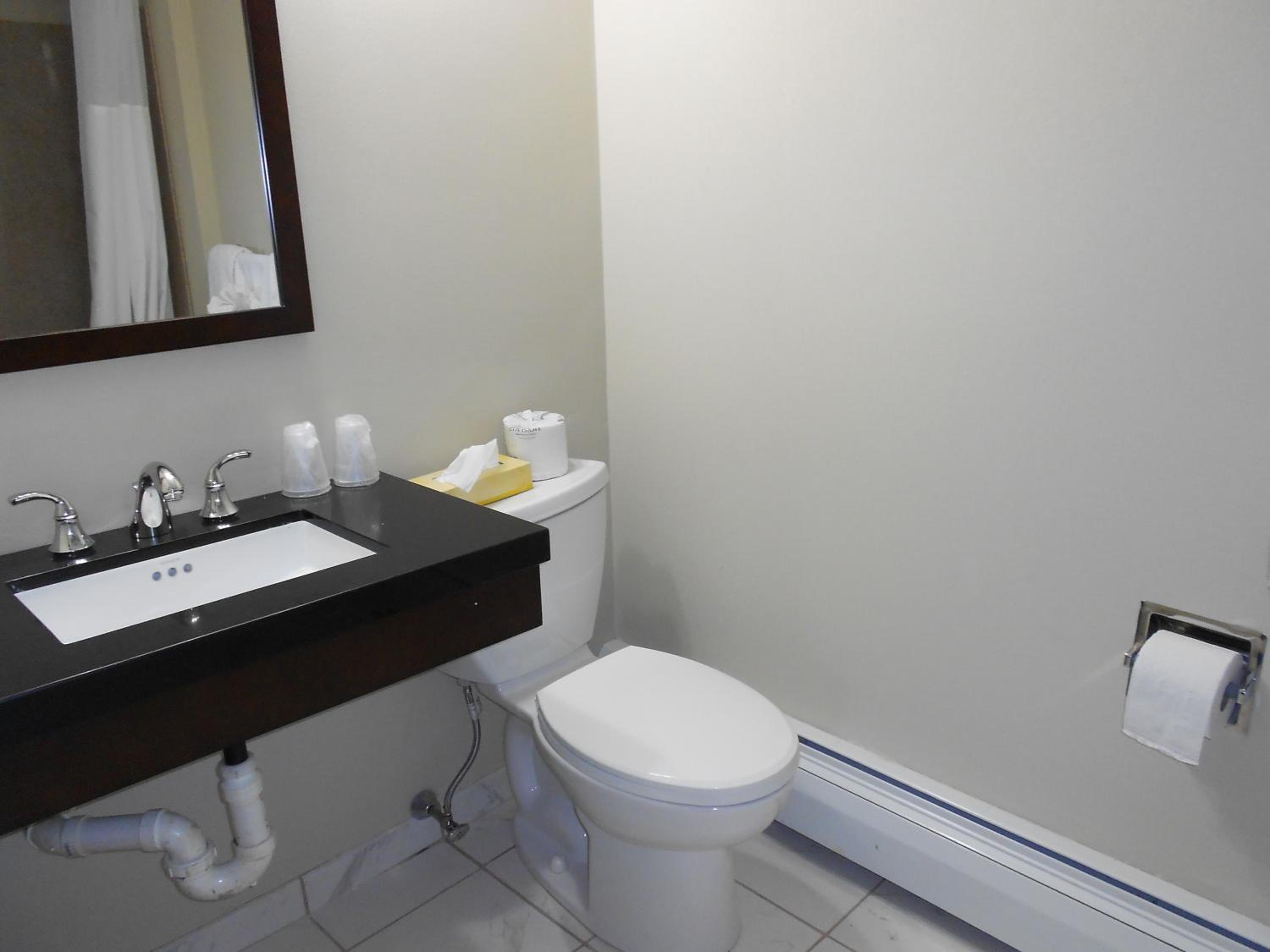 Deluxe King Room - Photo 10
