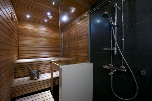 One-Bedroom Apartment with Sauna - Photo 16