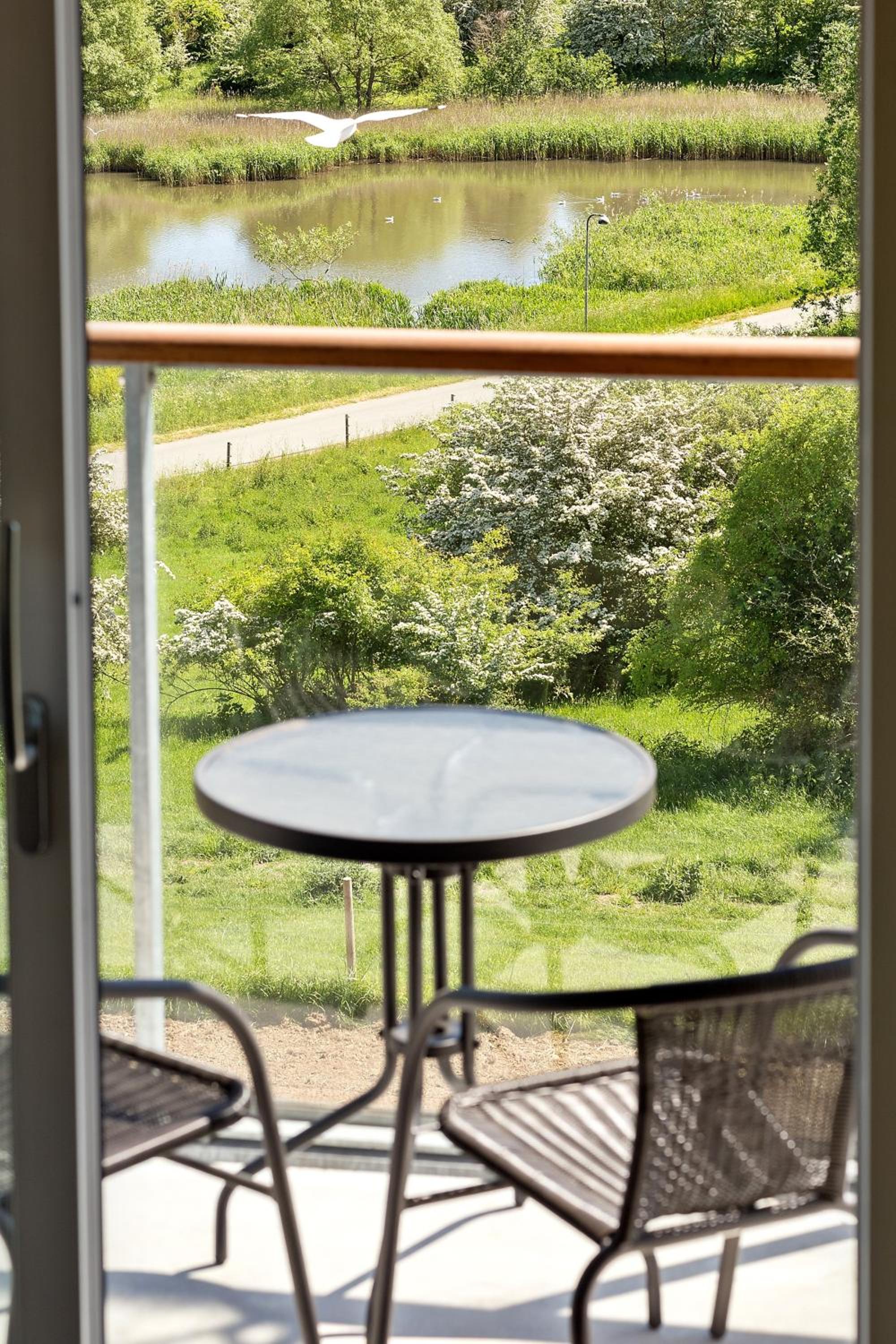Superior King Room with Balcony or Terrace - Photo 8