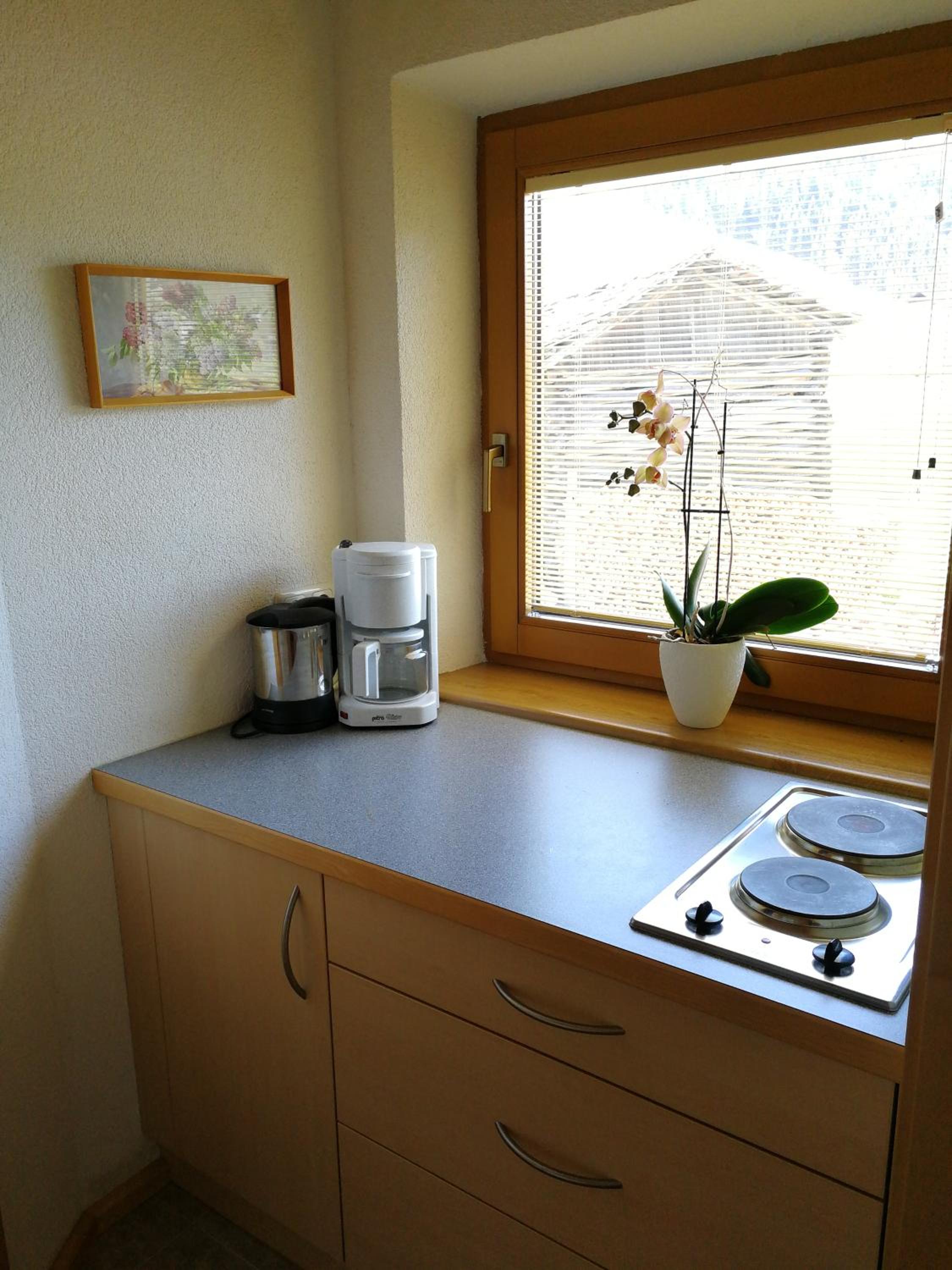 One-Bedroom Apartment photo 3