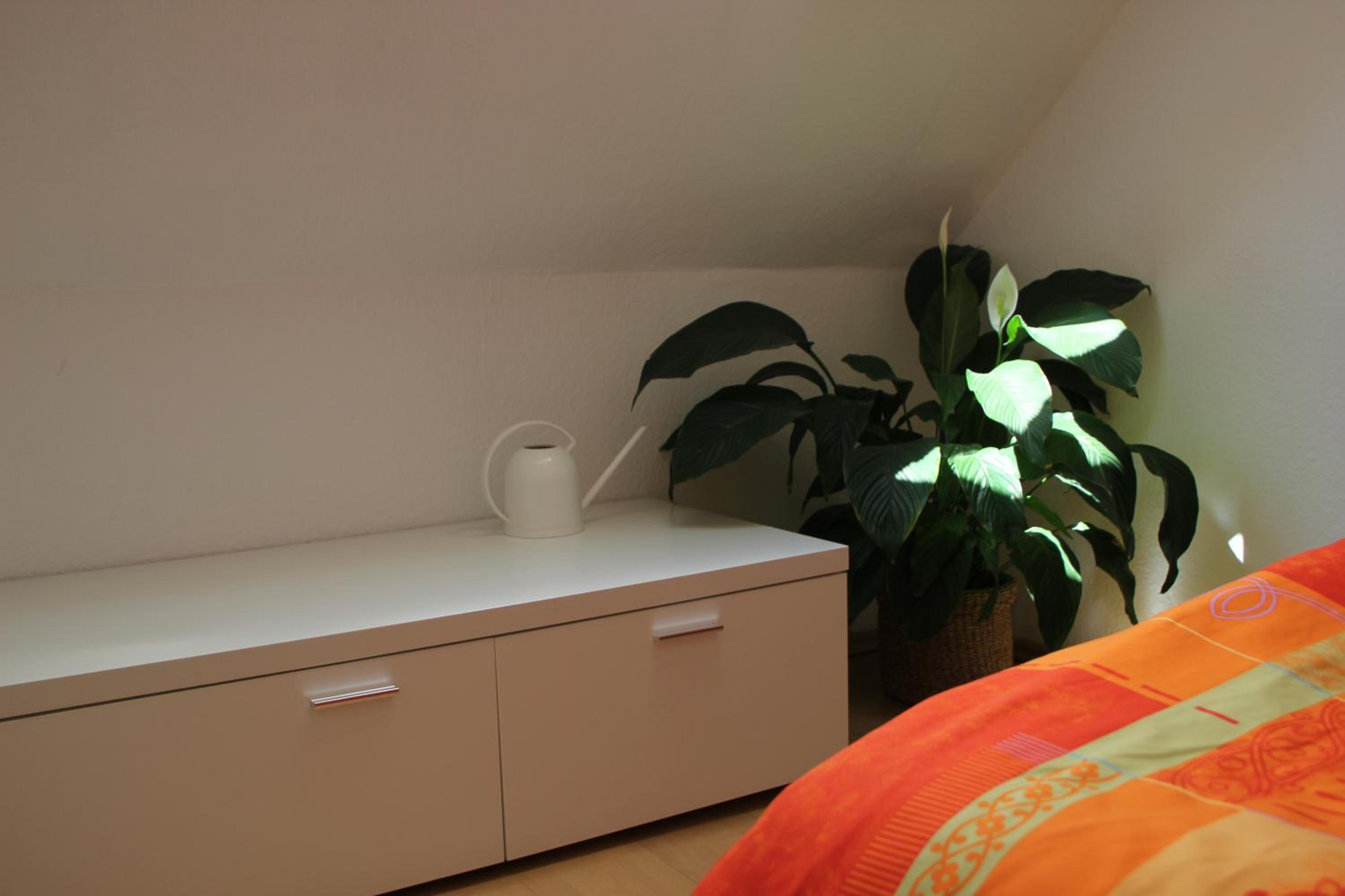 Superior Apartment - Photo 3