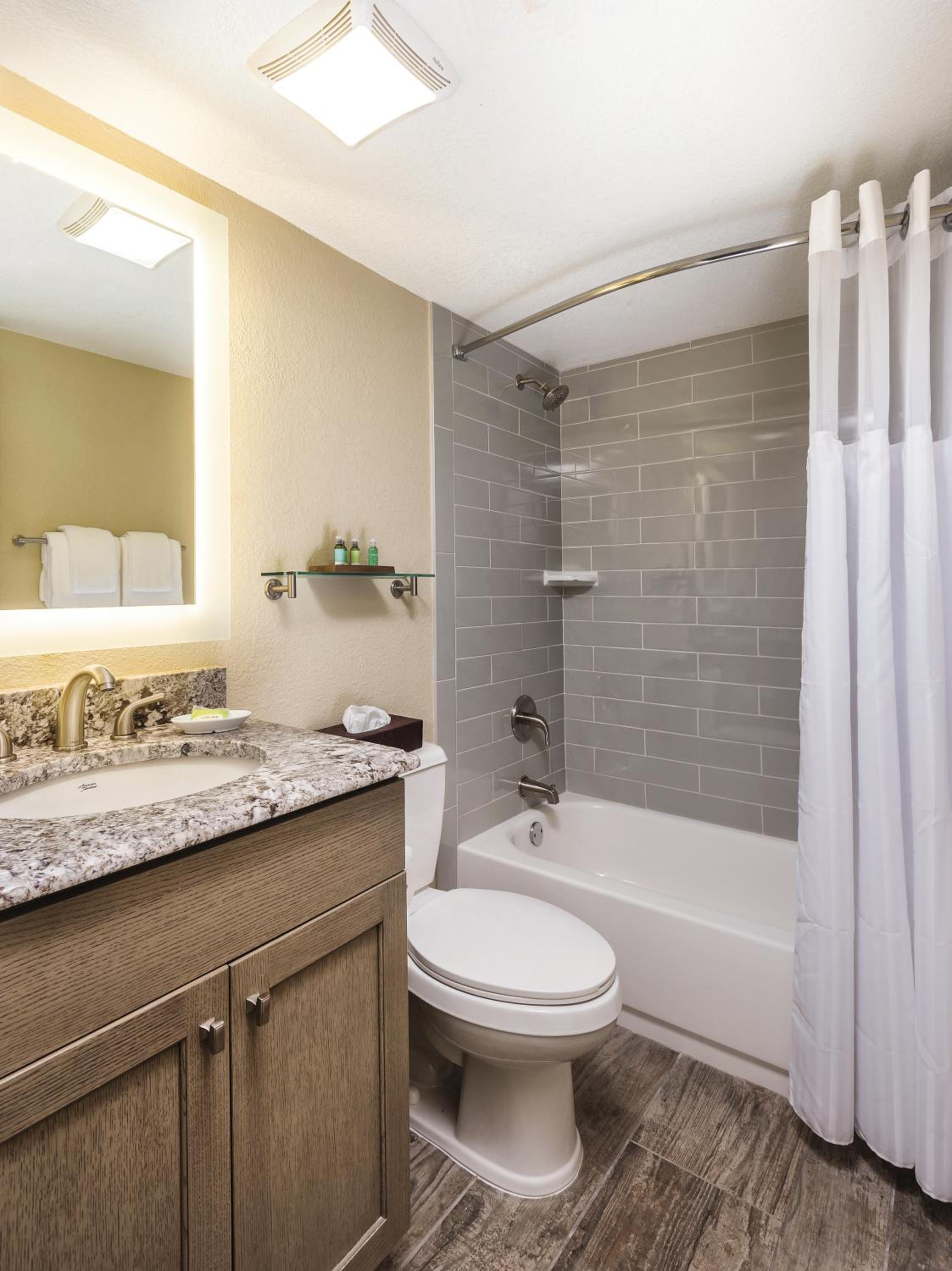 One-Bedroom Suite photo 2