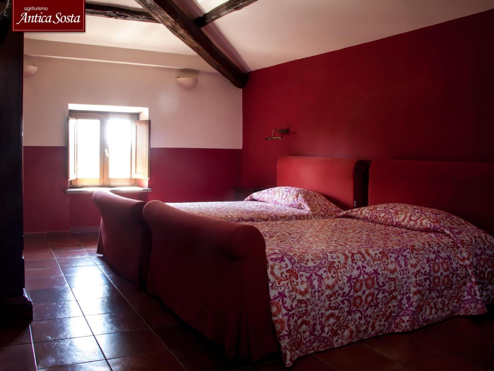Twin Room photo 1