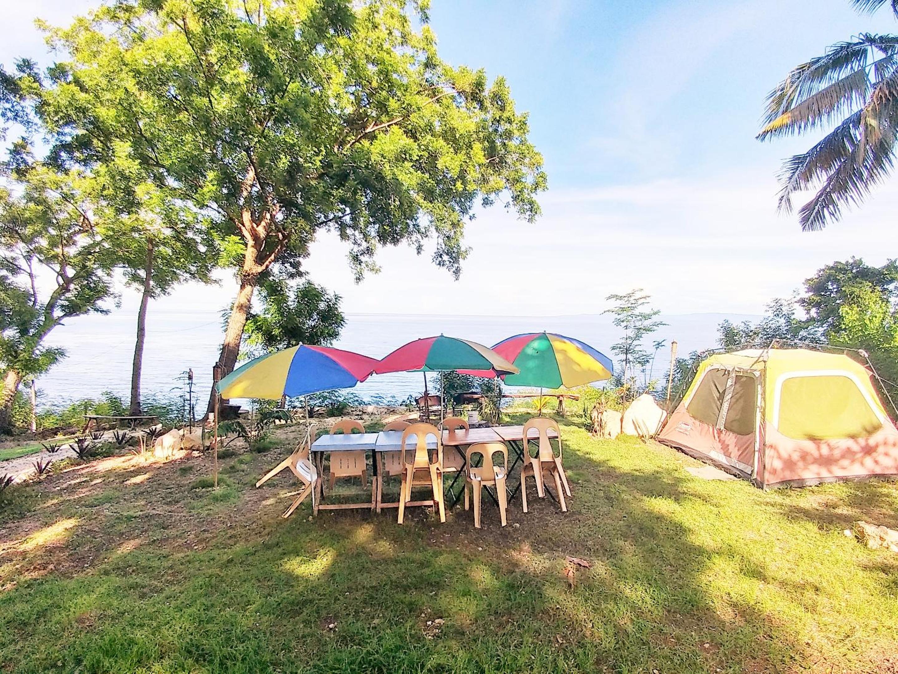 Tree House with Sea View - Photo 16