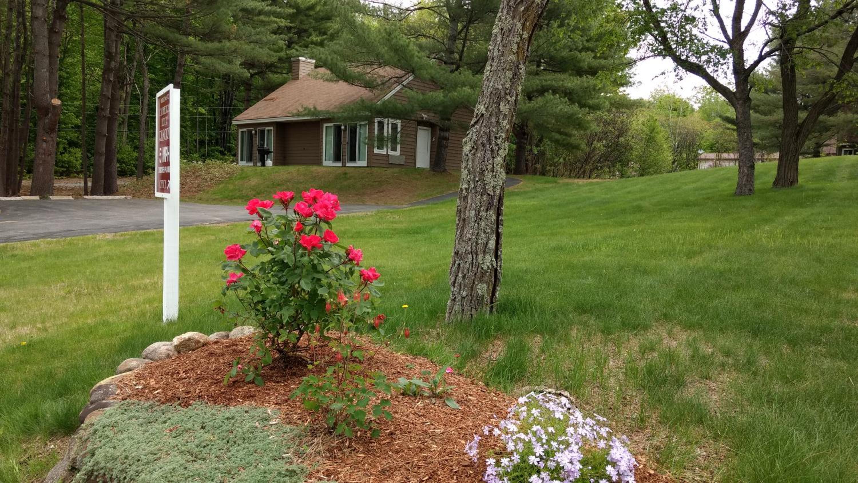Cottage photo 2