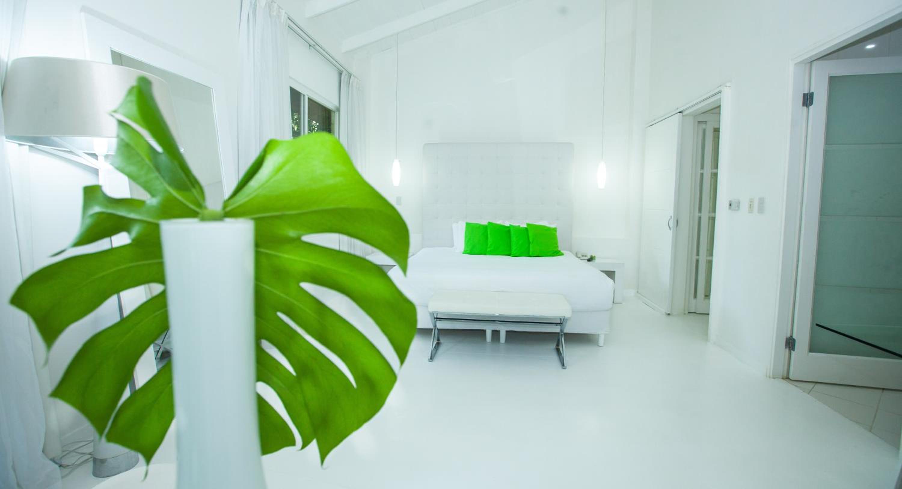 Le Cameleon Suite - Photo 11