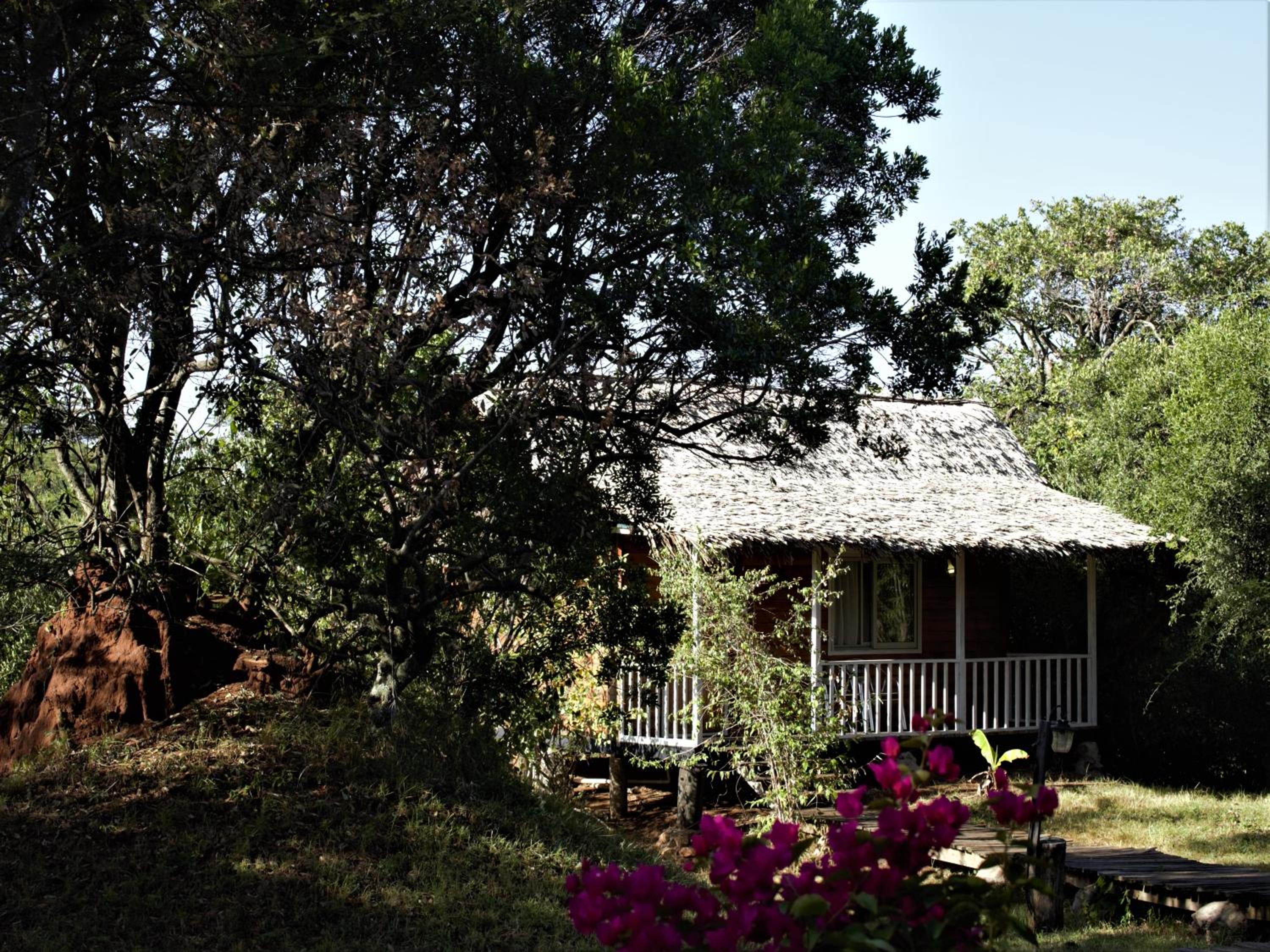 Wooden Cottage Double  - Photo 2