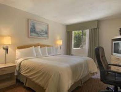 The Grand Inn Peoria, Foto 7