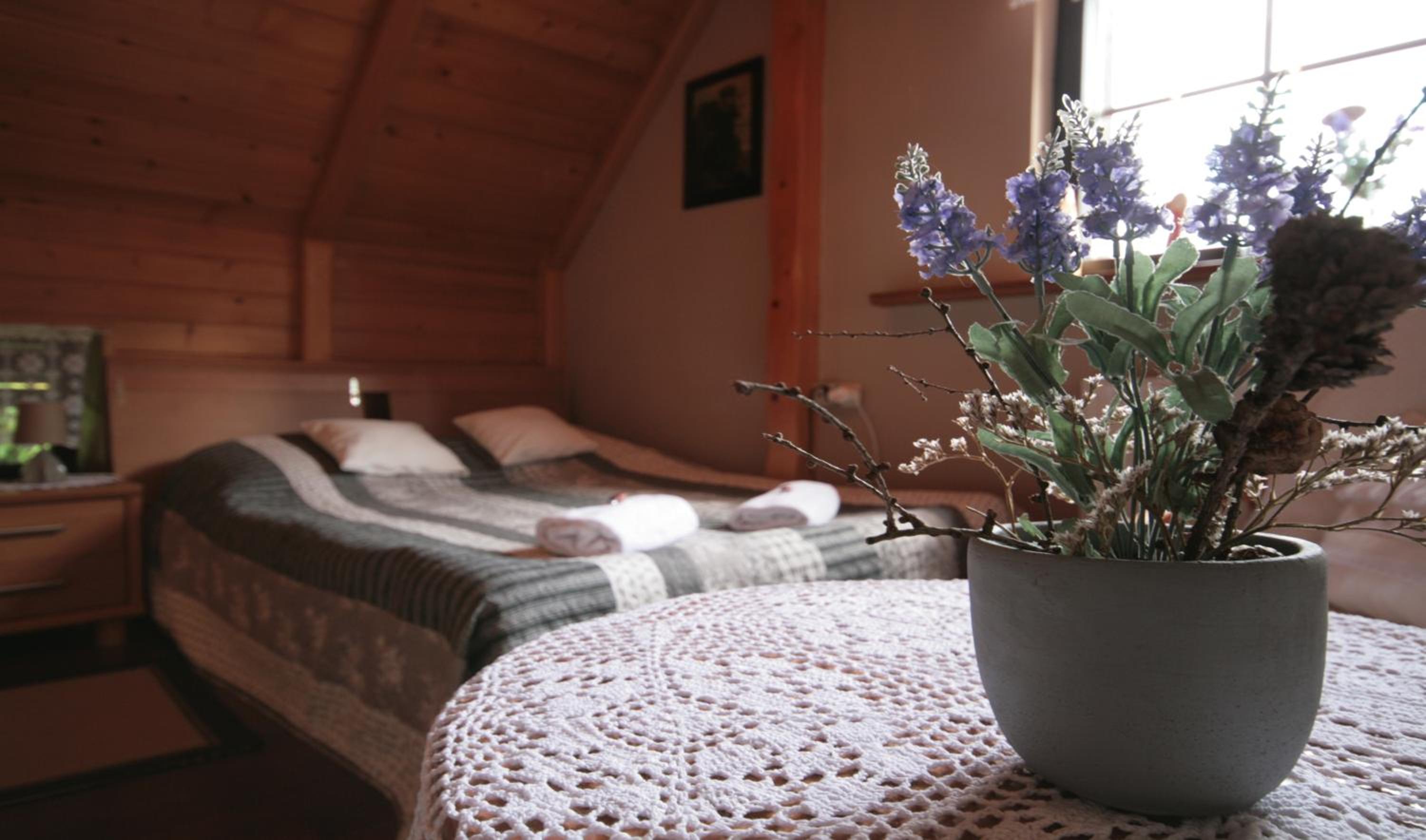 Large Double Room photo 1