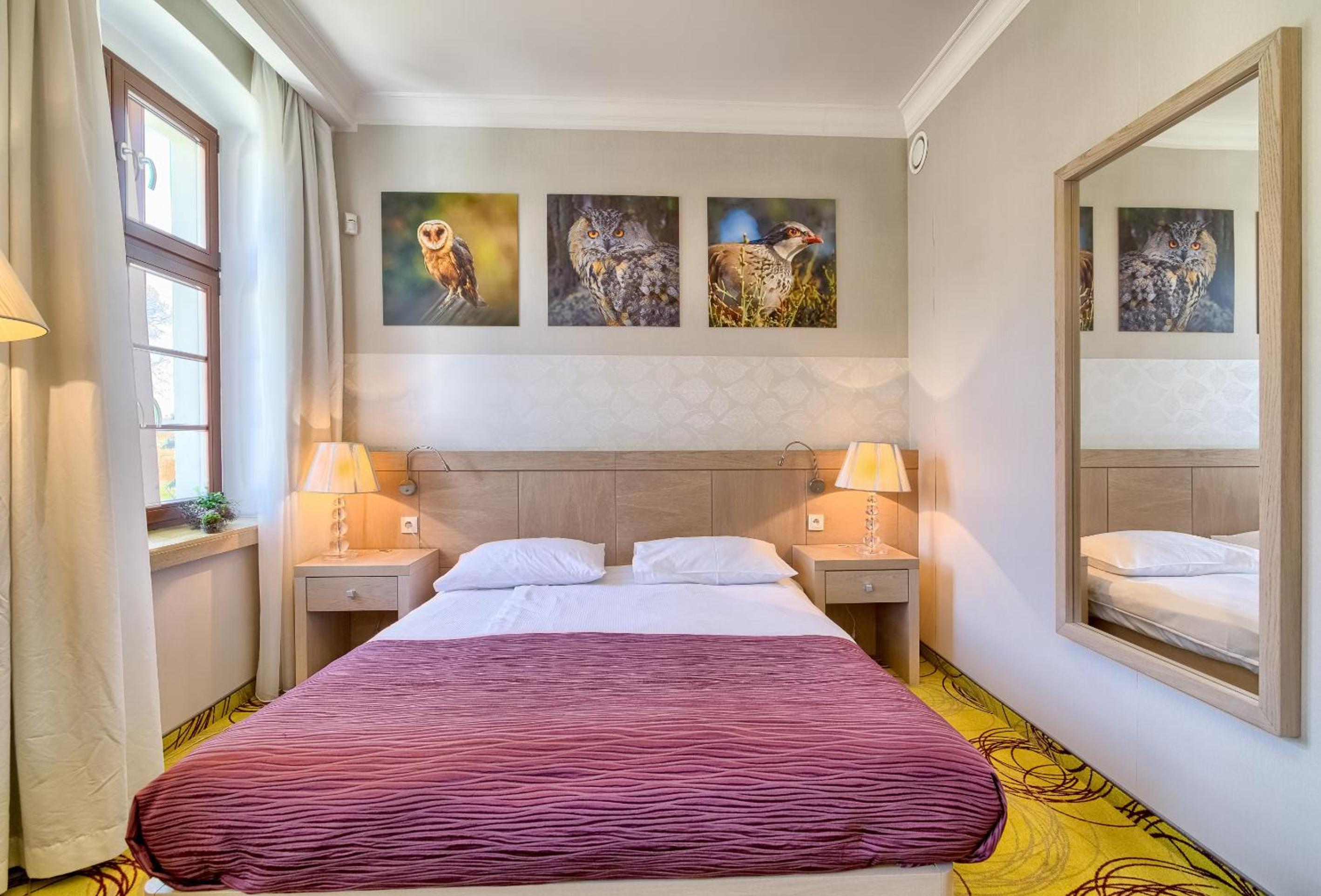 Single Room photo 1