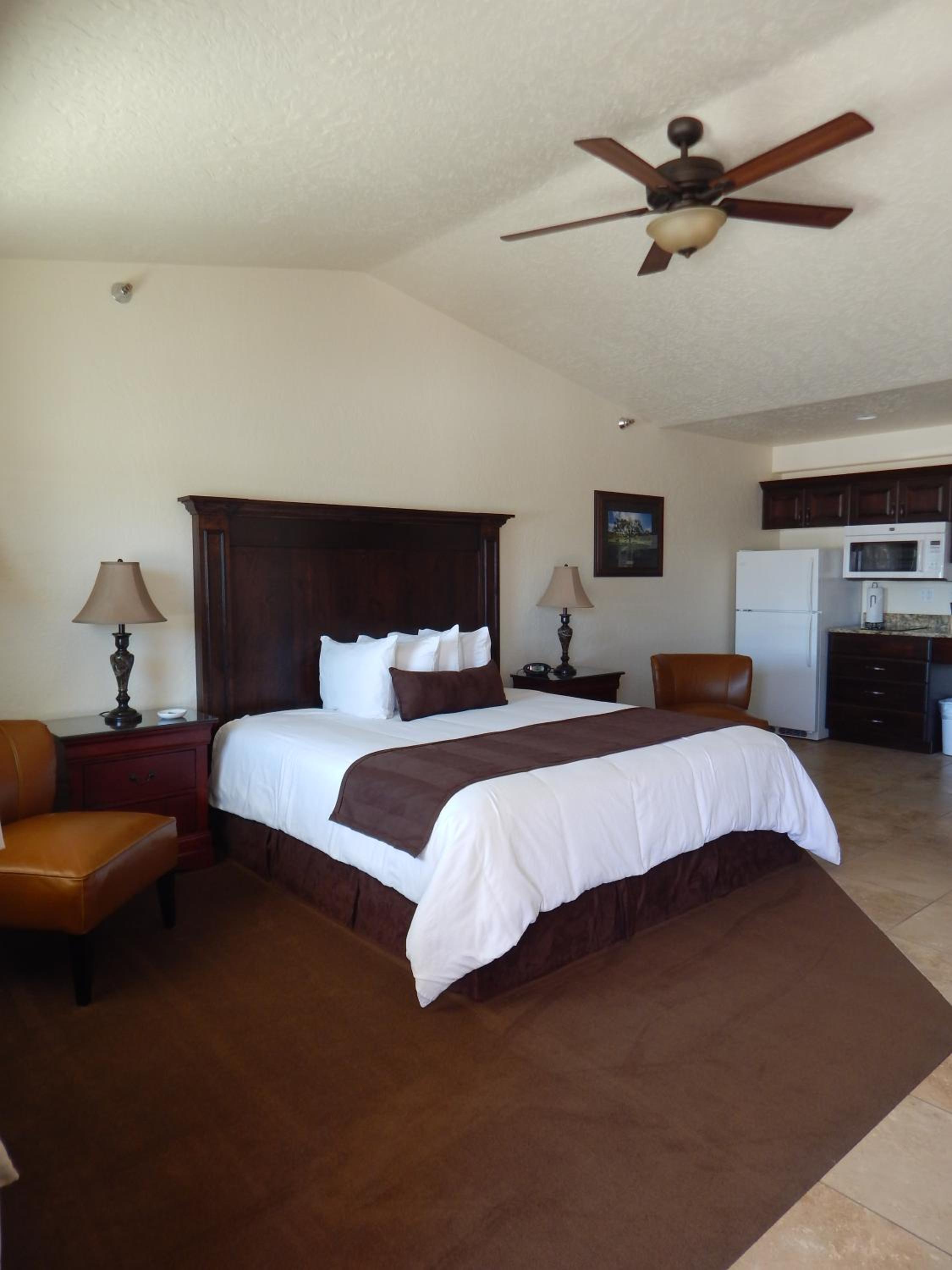 King Suite - Disability Access photo 3