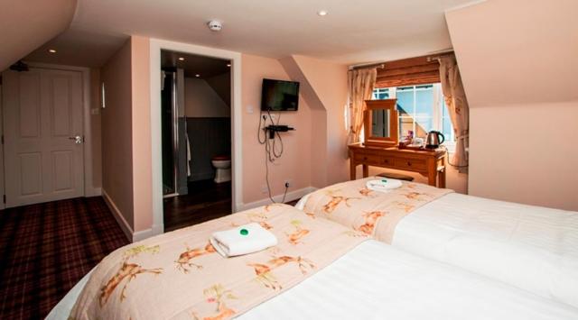 Deluxe Double or Twin Room