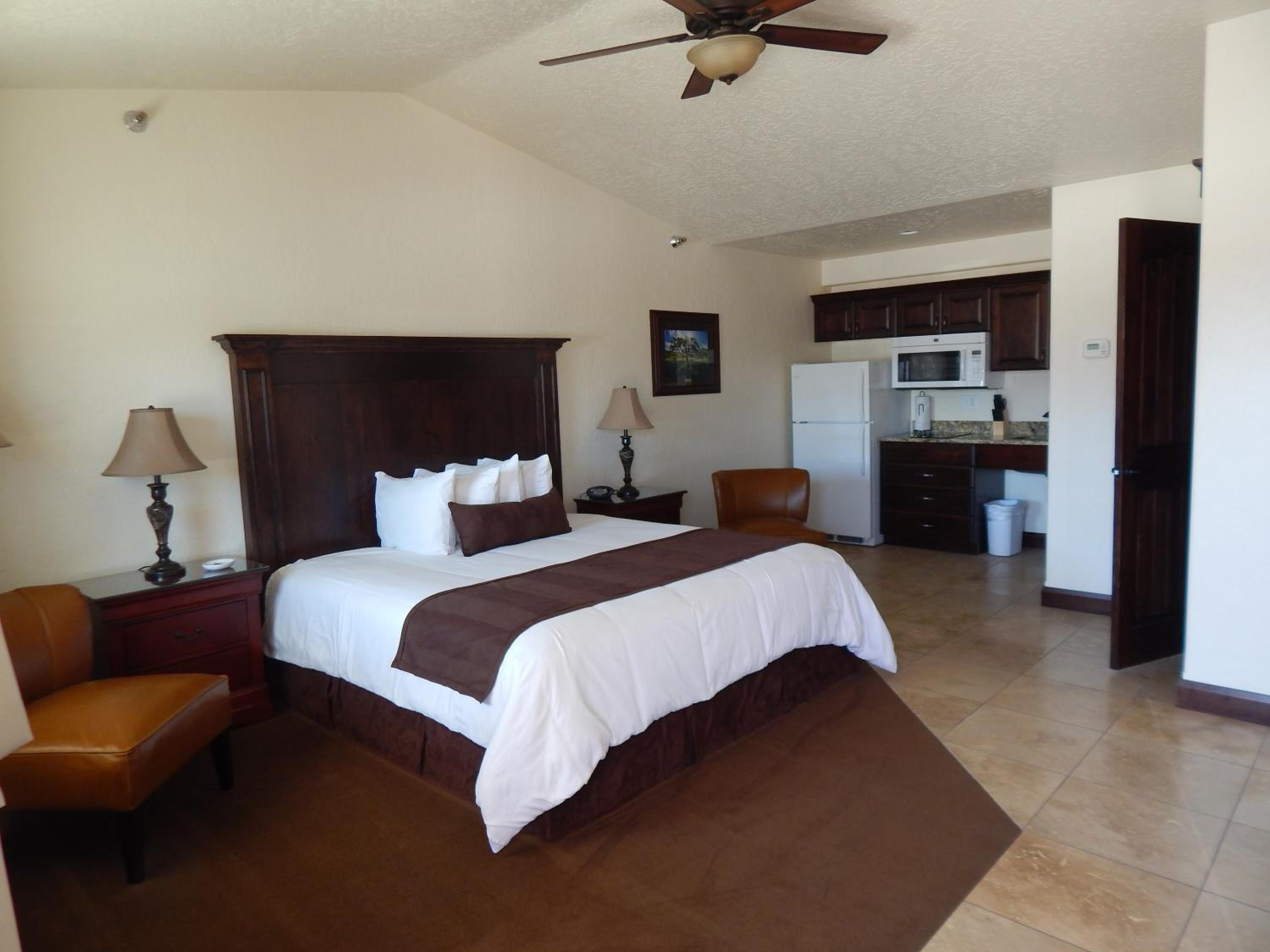 King Suite - Disability Access photo 1