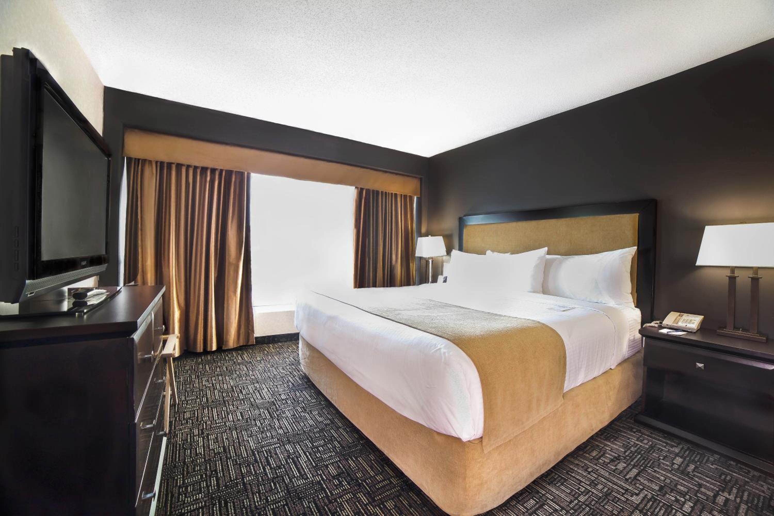 Executive Suite - Photo 1