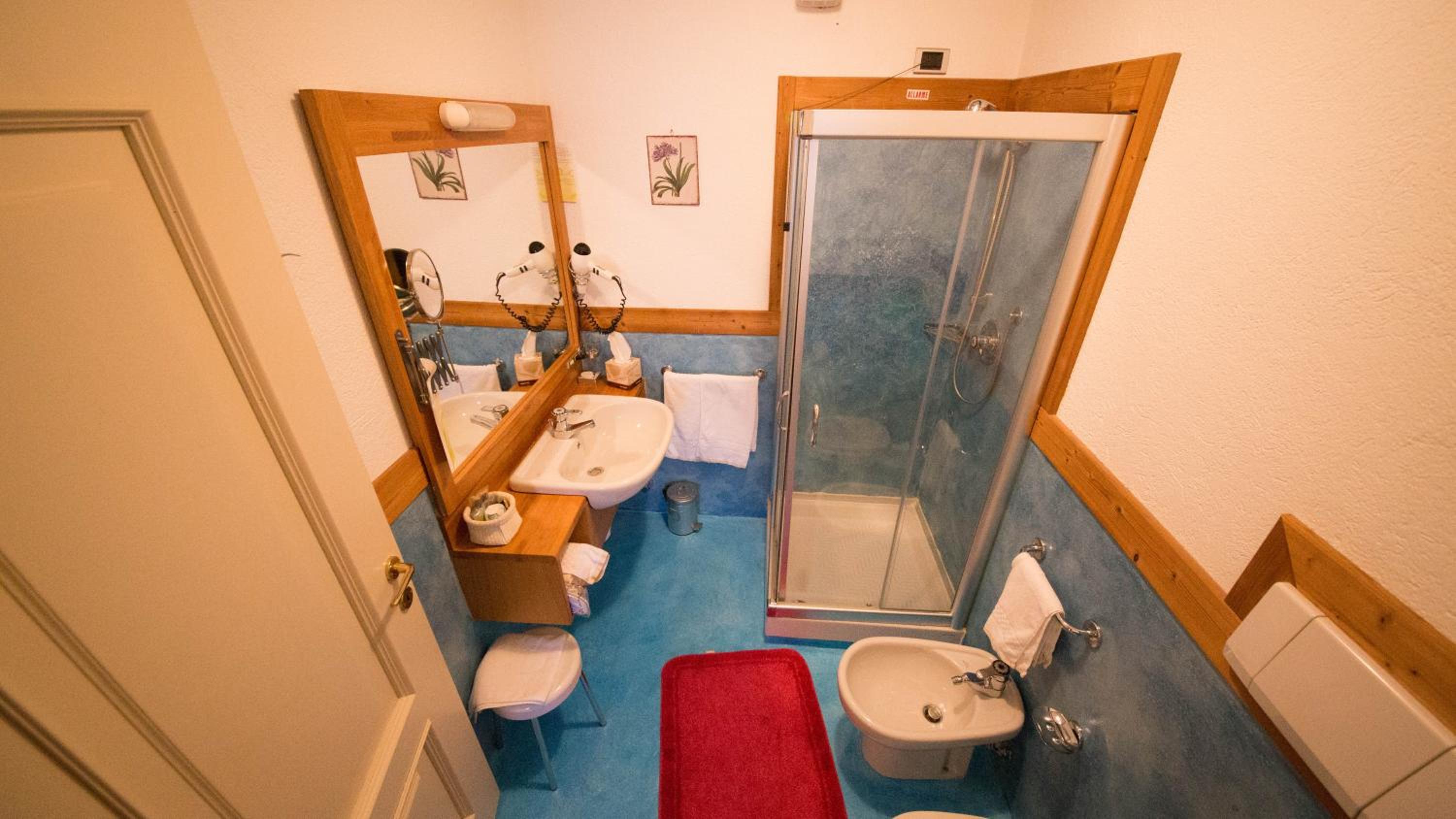 Superior Double or Twin Room photo 3
