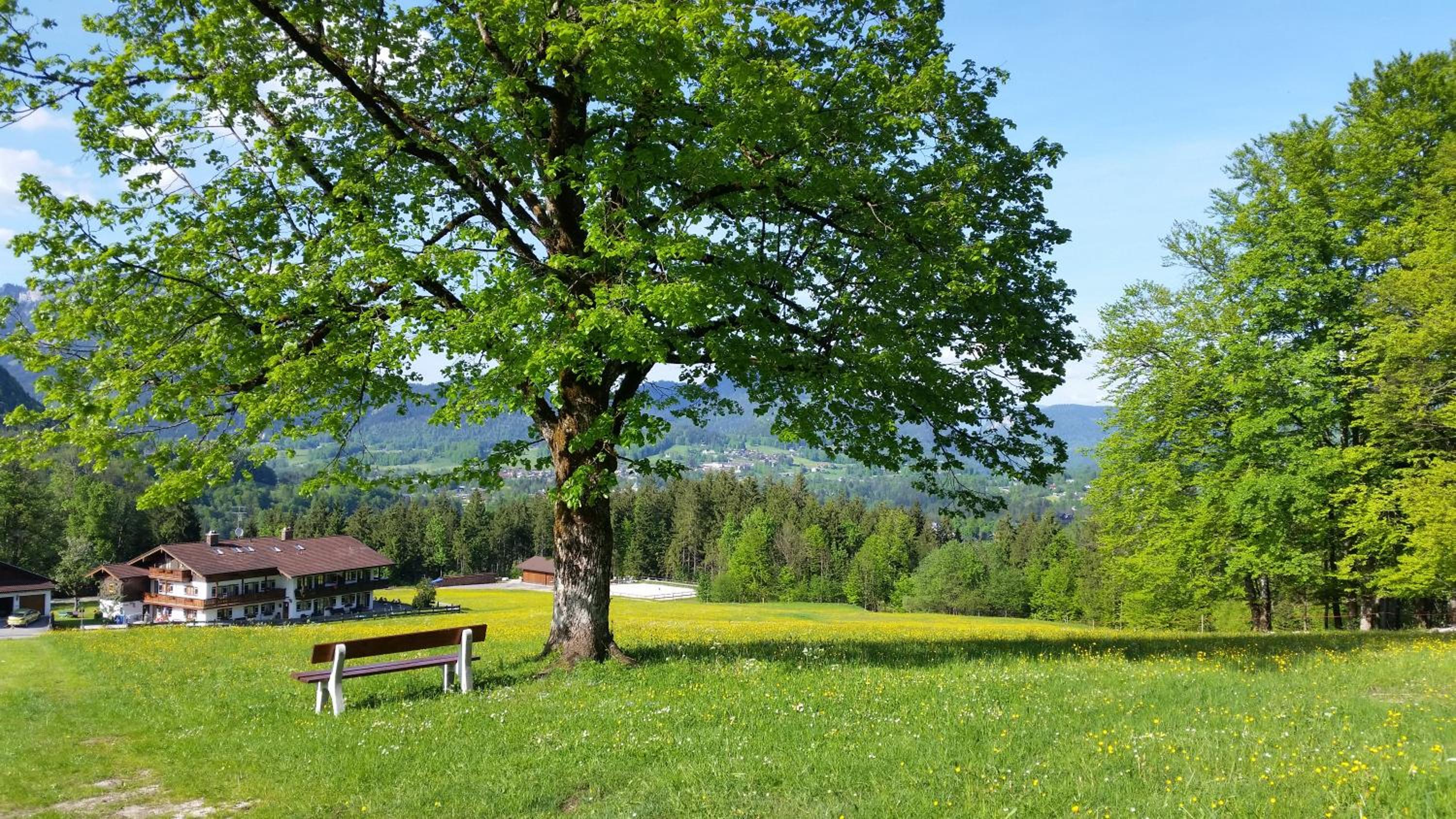 Chalet photo 3