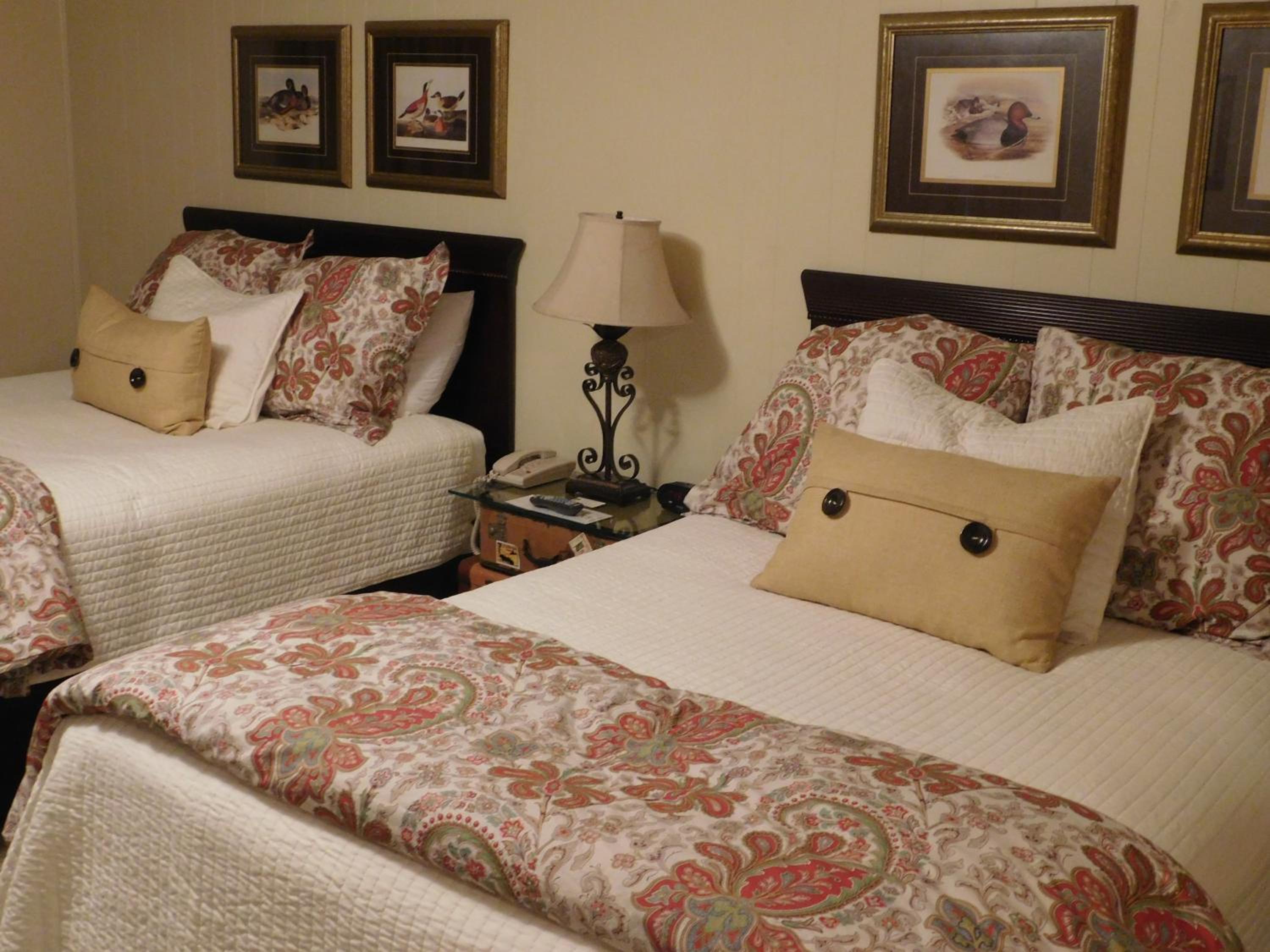 Large Suite photo 3
