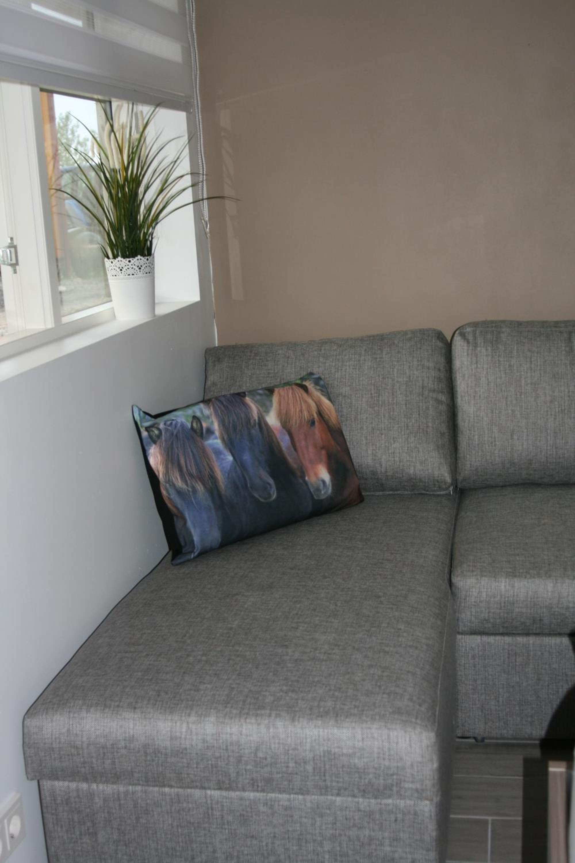Studio (3 Adults) - Photo 24
