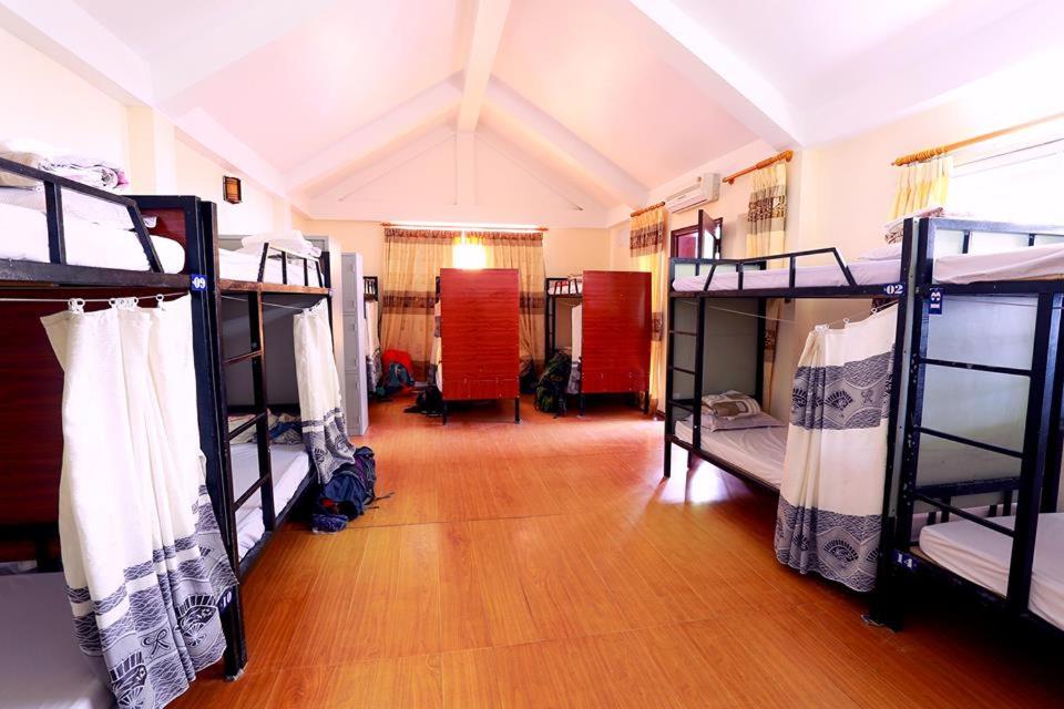 Bunk Bed In Mixed Dormitory Room
