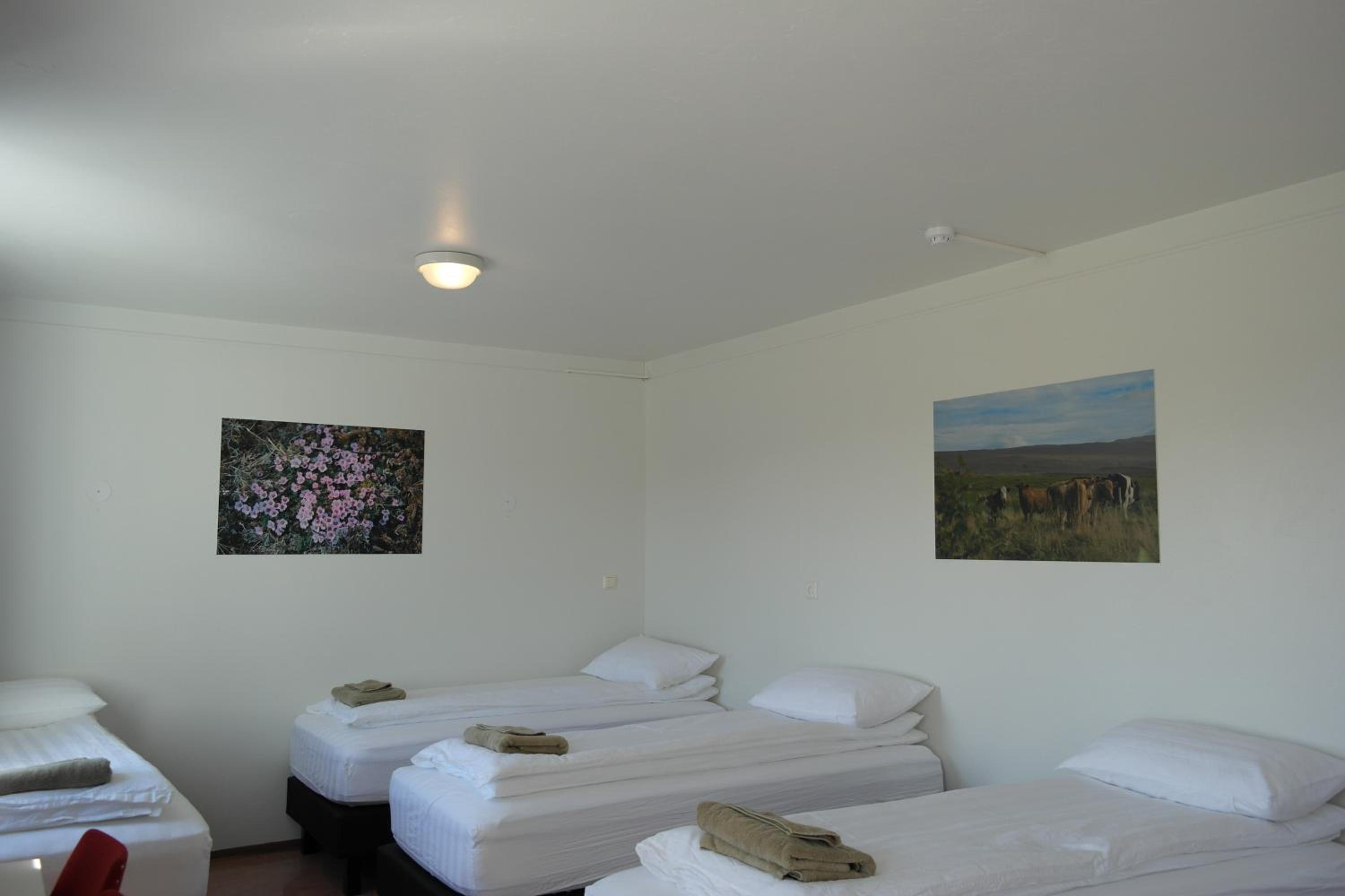 Family Room with Shared Bathroom photo 2
