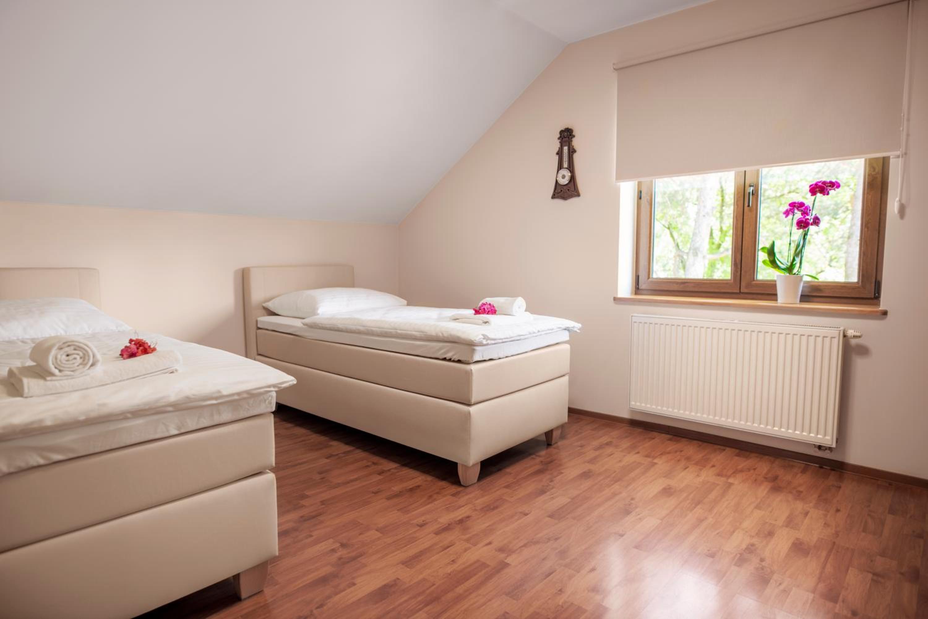 Double Room with Shared Bathroom