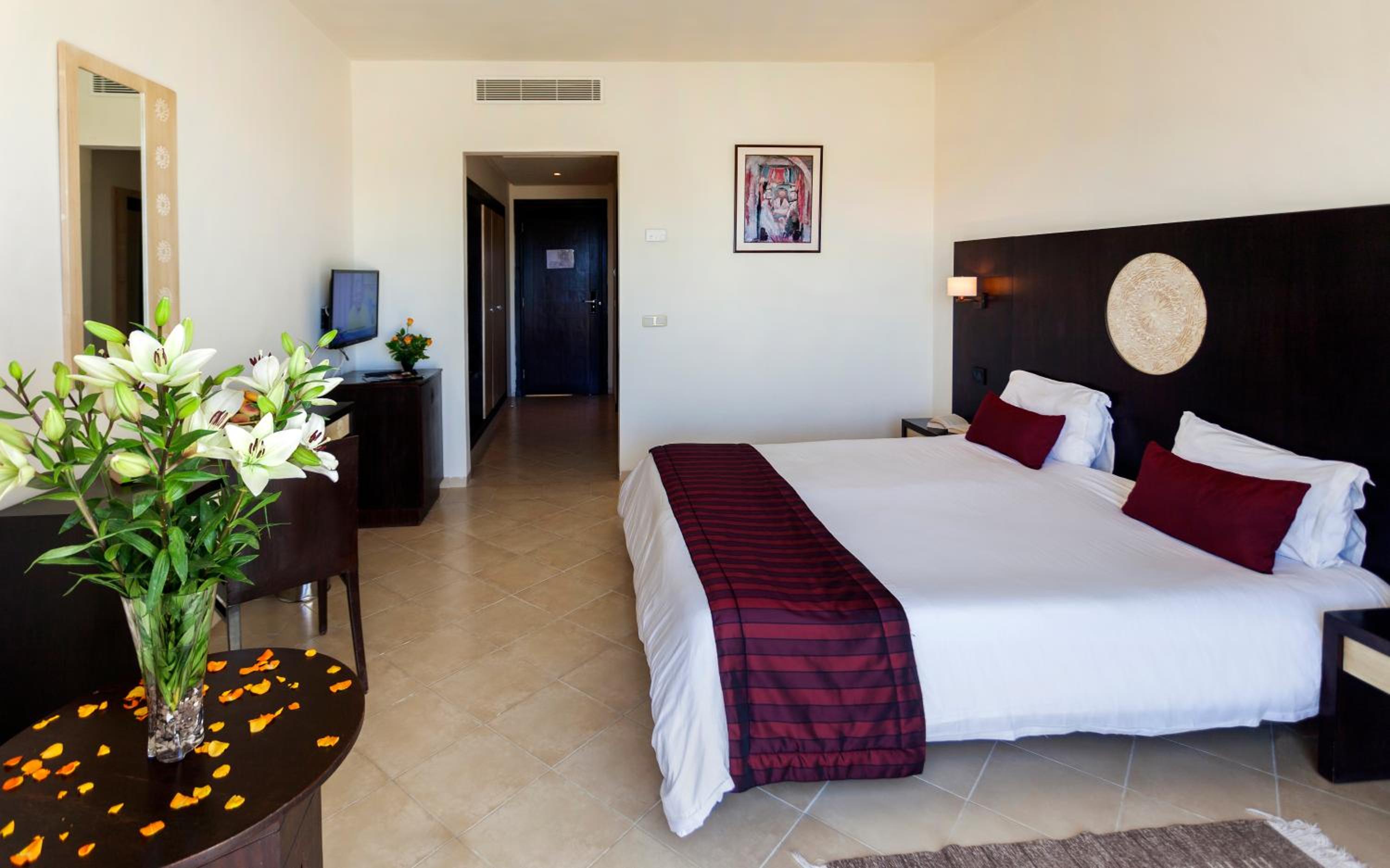 Superior Single Room photo 3