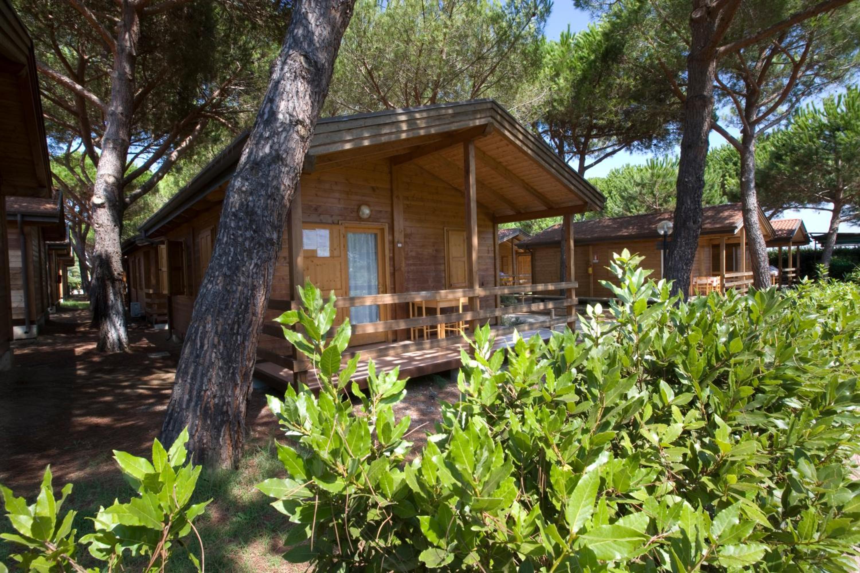 Two-Bedroom Bungalow (4 Adults) - Photo 3