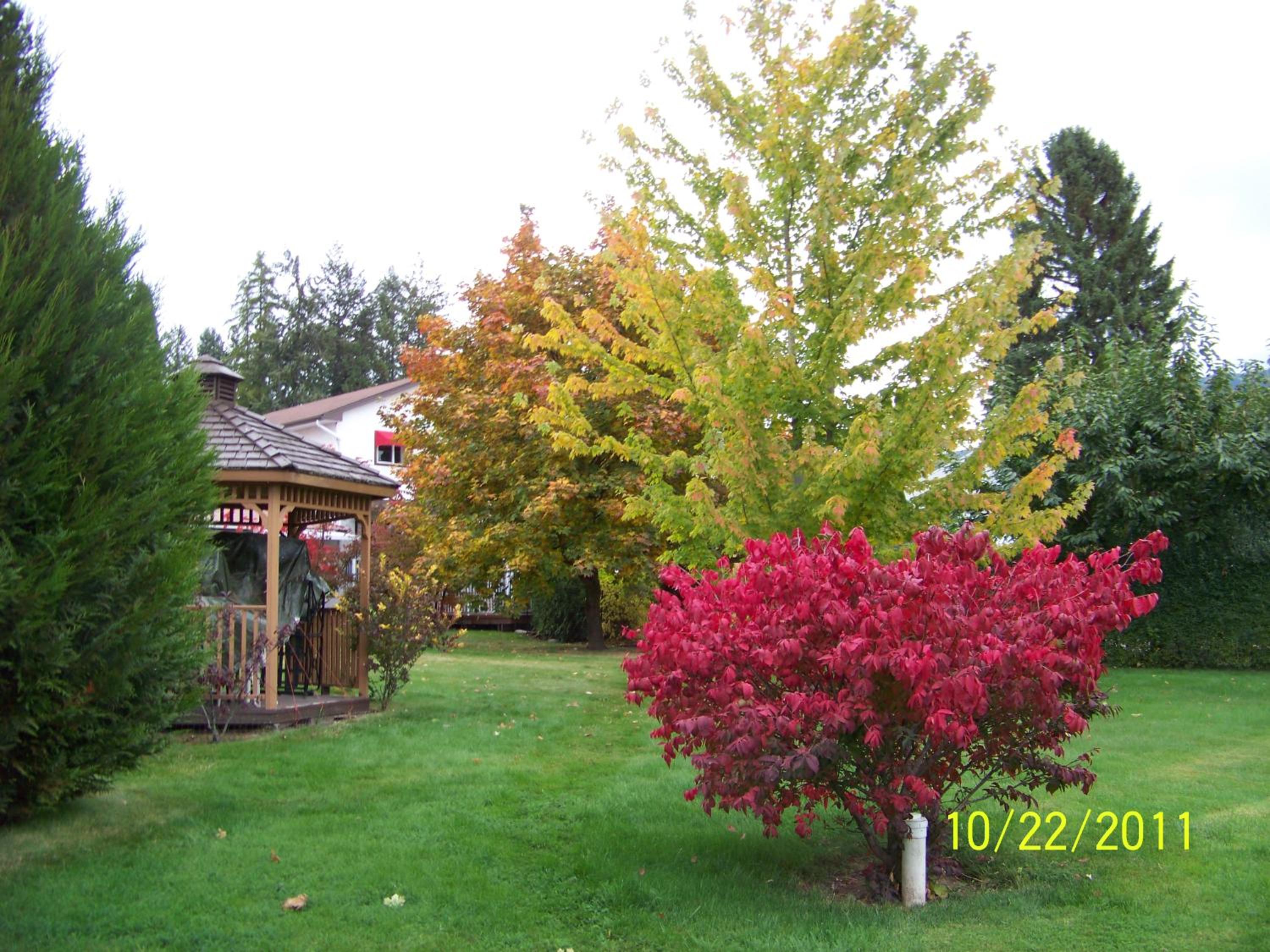 Family Room - Photo 4