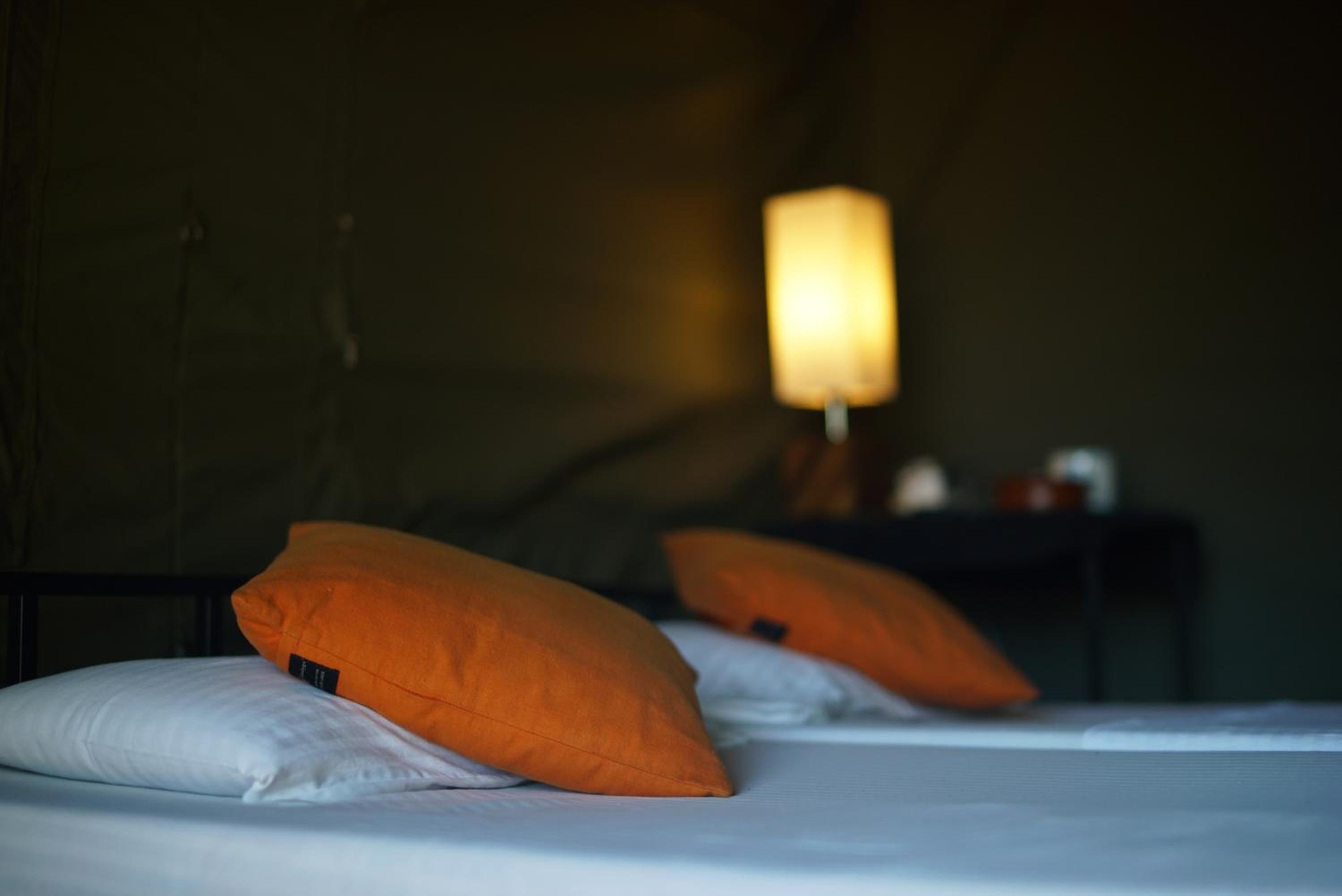 Glamping bordering Wilpattu with Guided bush walk photo 1