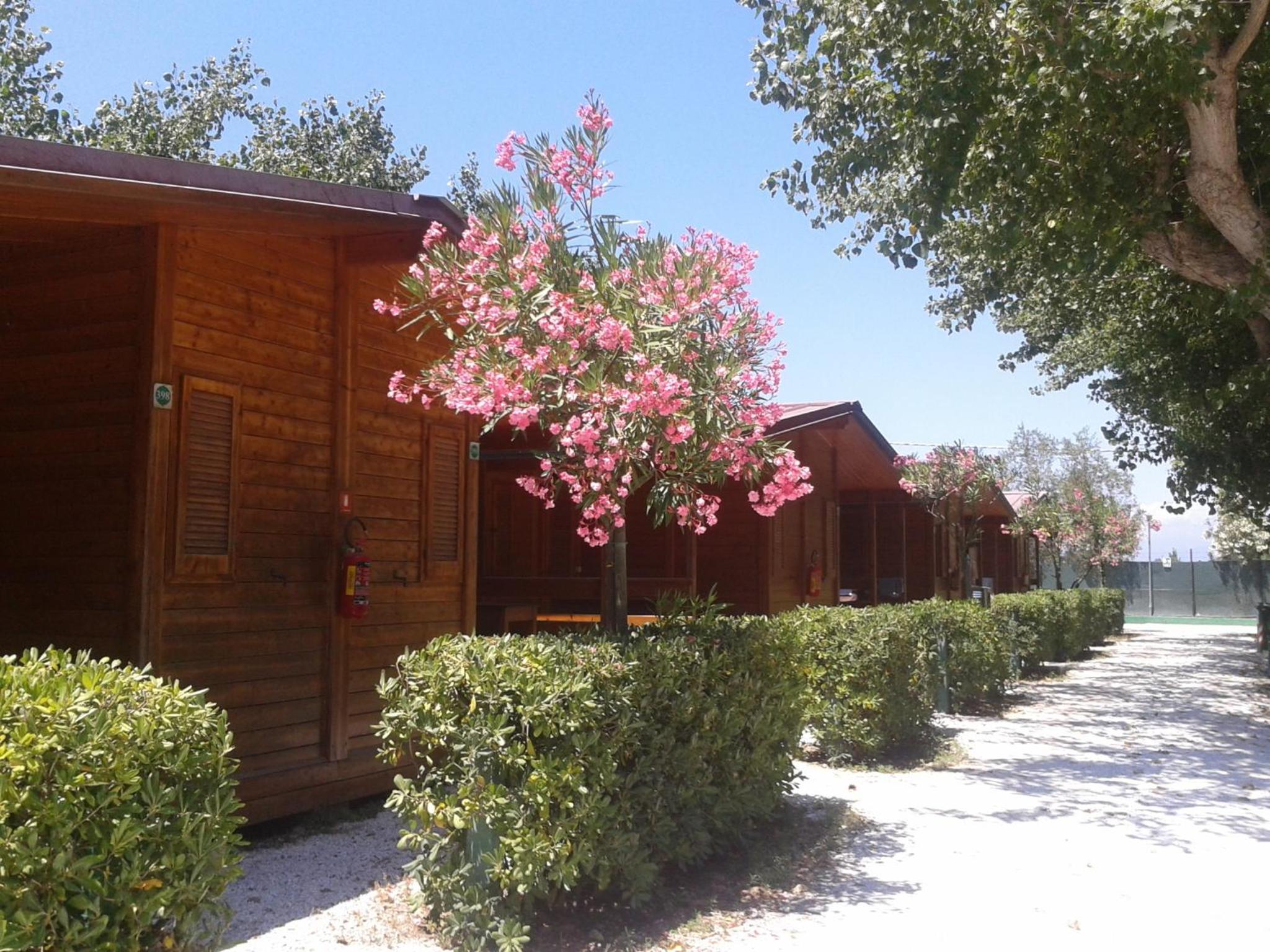 Chalet (4 Adults) - Photo 4