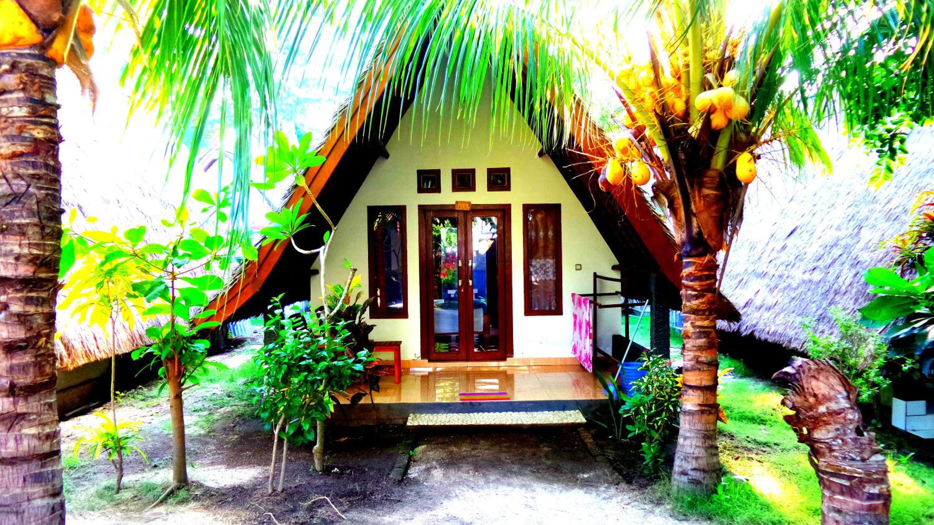 Standard Bungalow photo 2