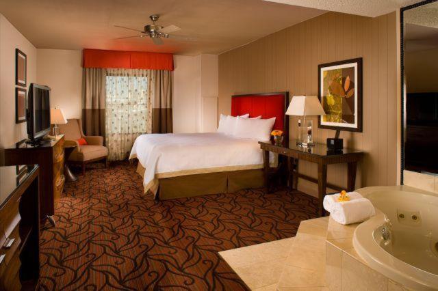 Spa Suite King photo 2