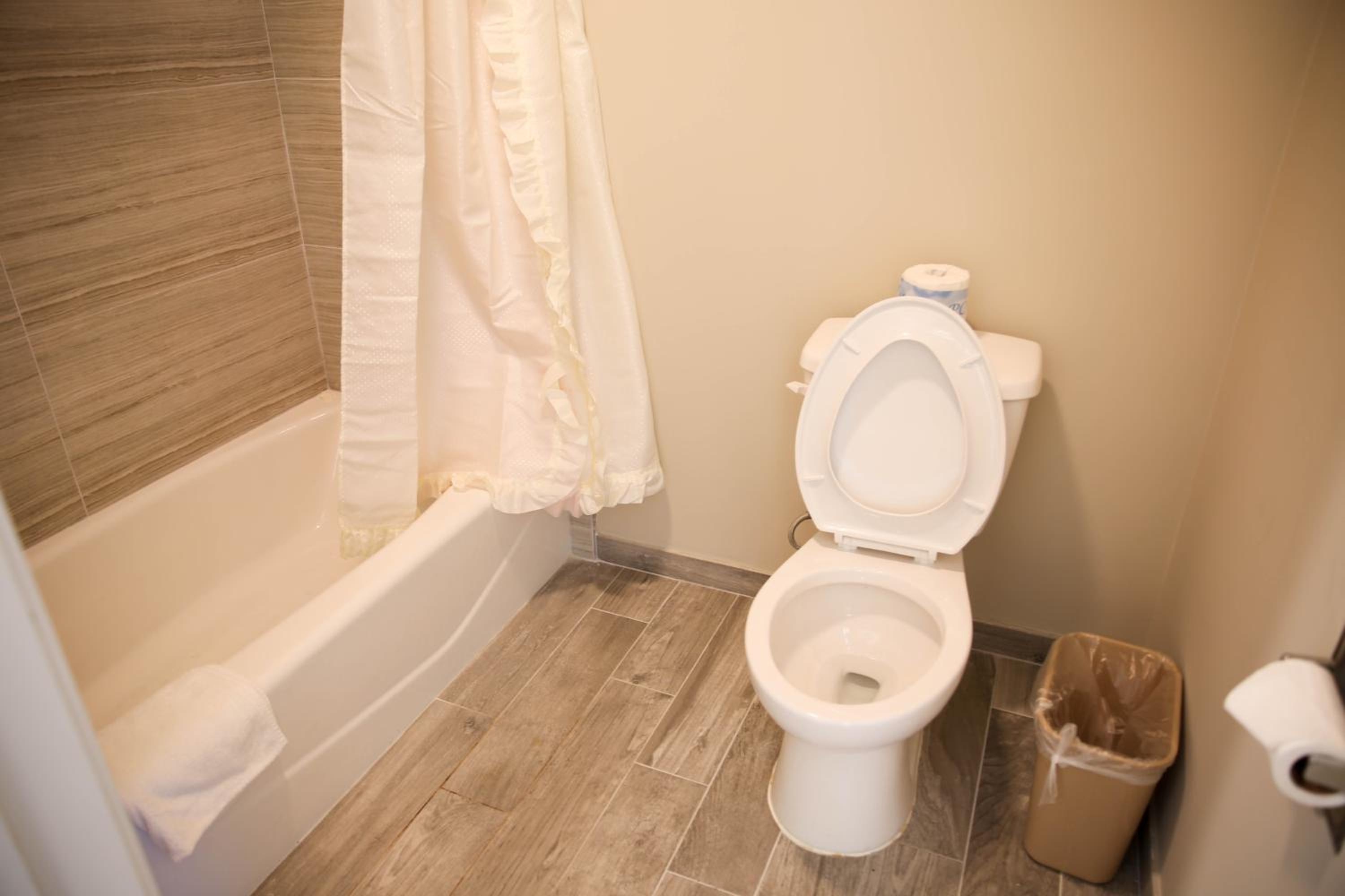 Queen Room photo 3