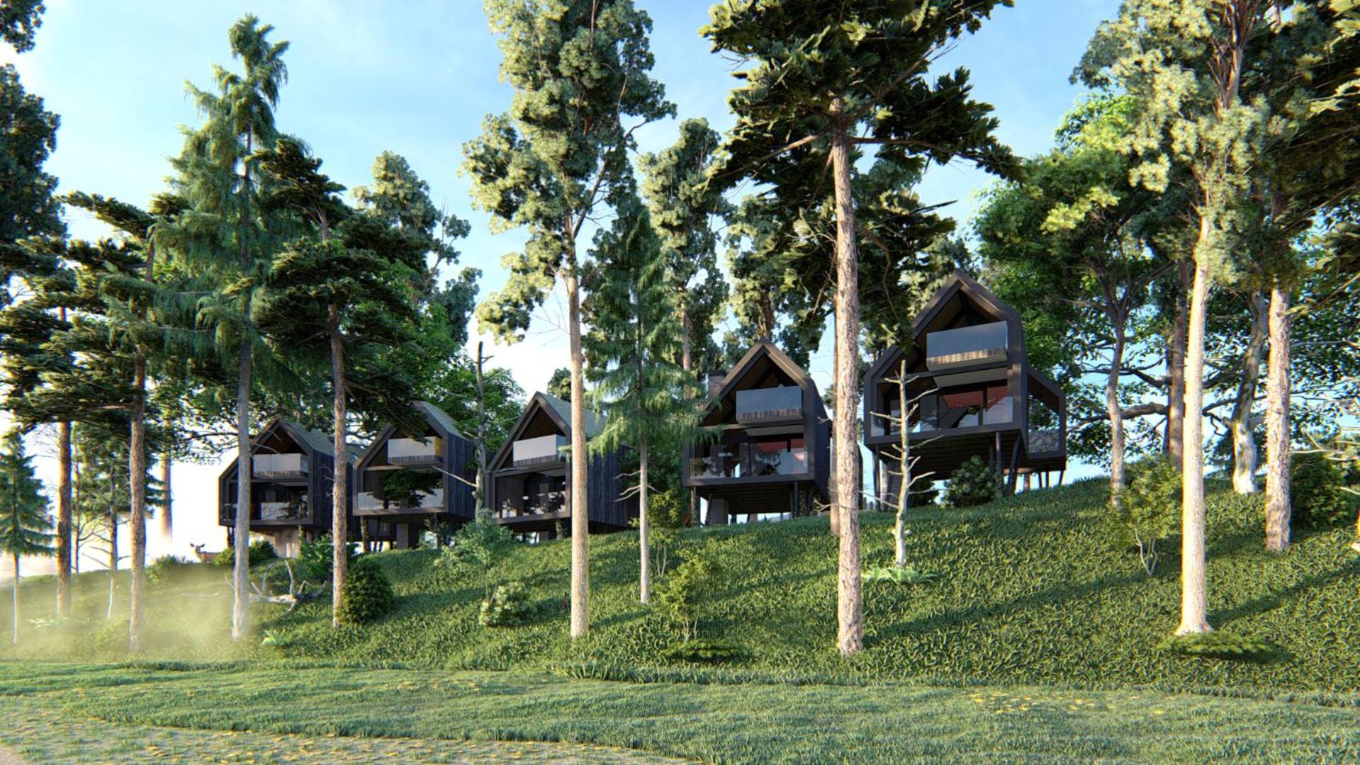 Treehouse Suite