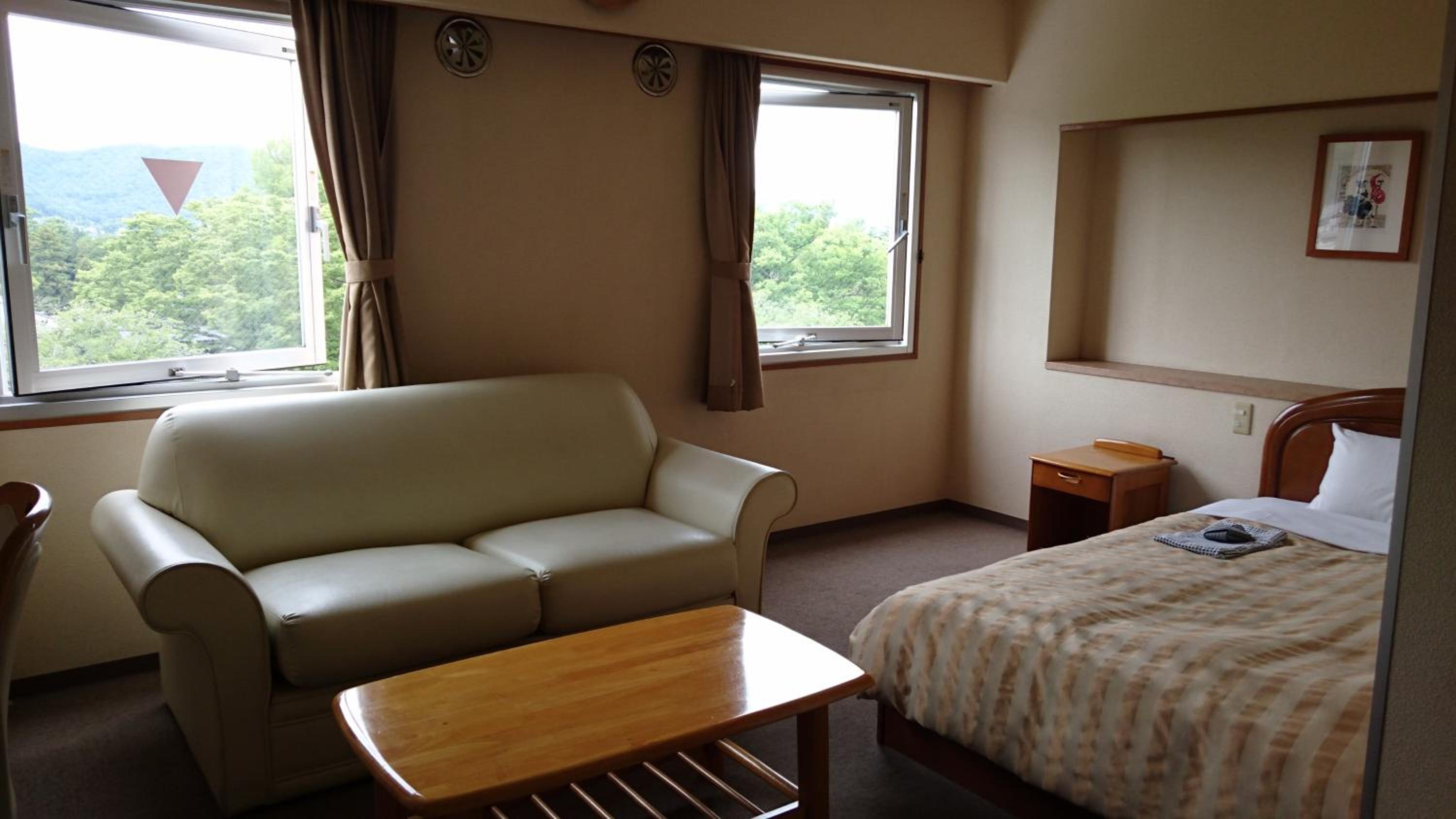 Deluxe Single Room - Non-Smoking