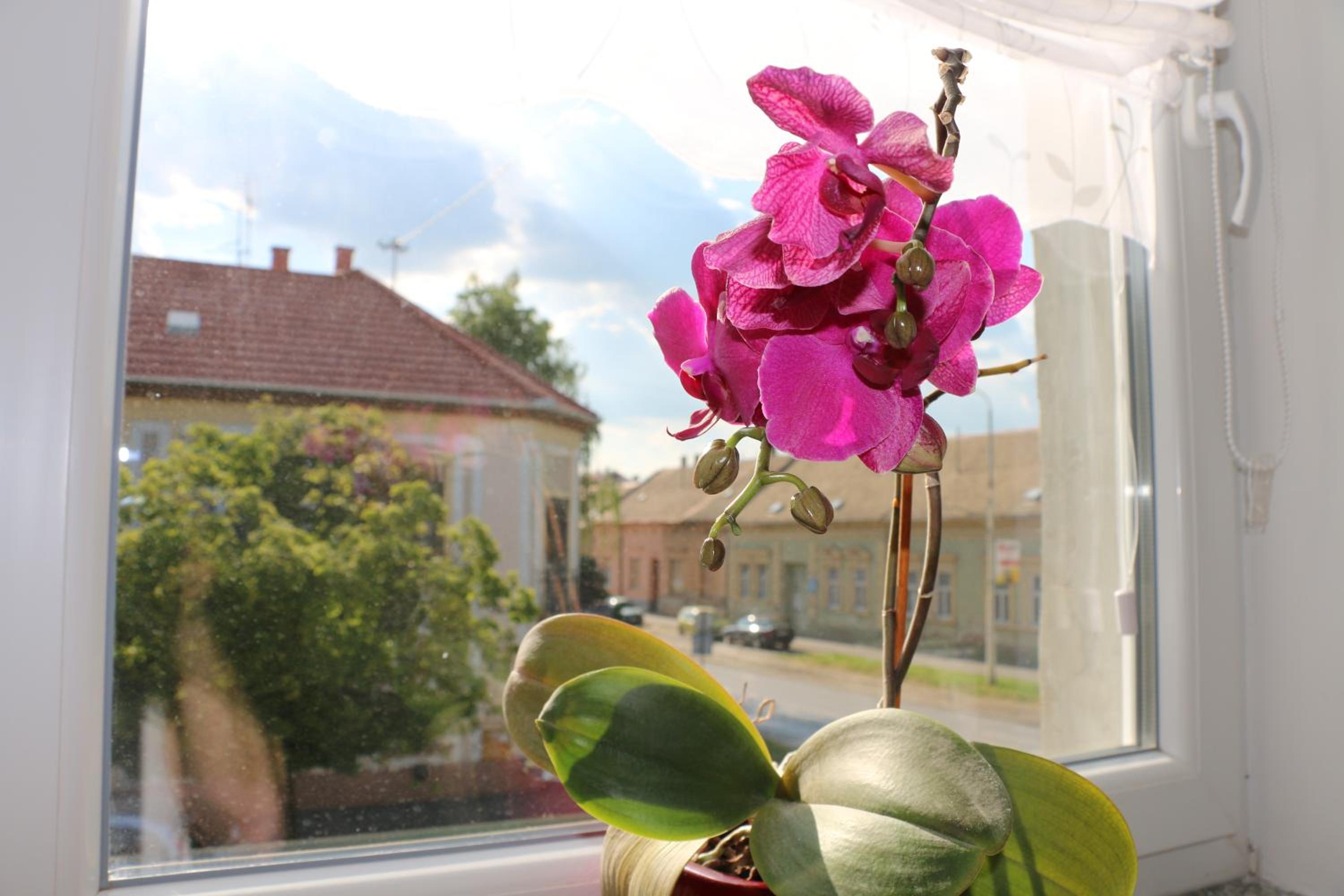 Studio Apartment - Photo 20