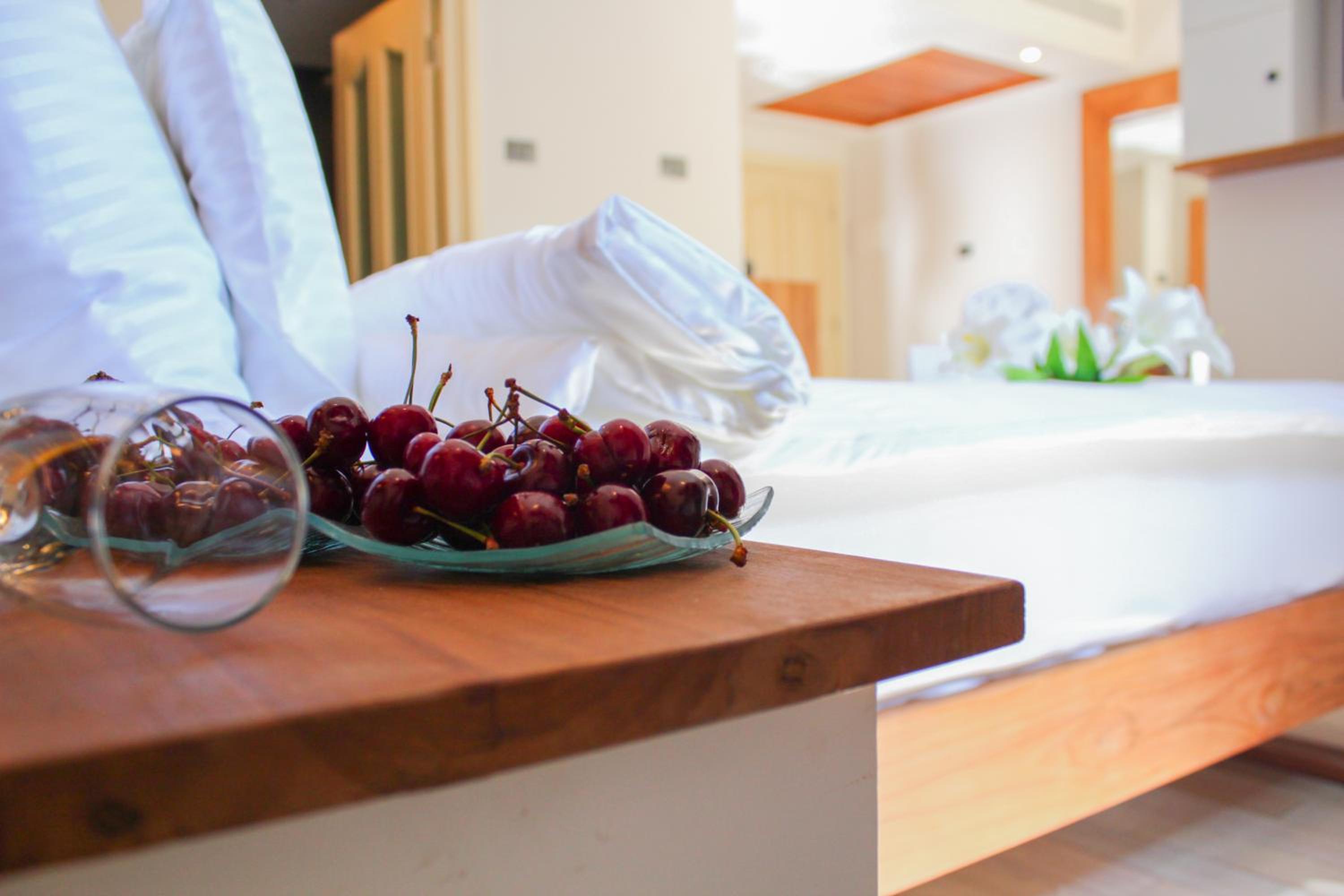 Suite - Photo 1