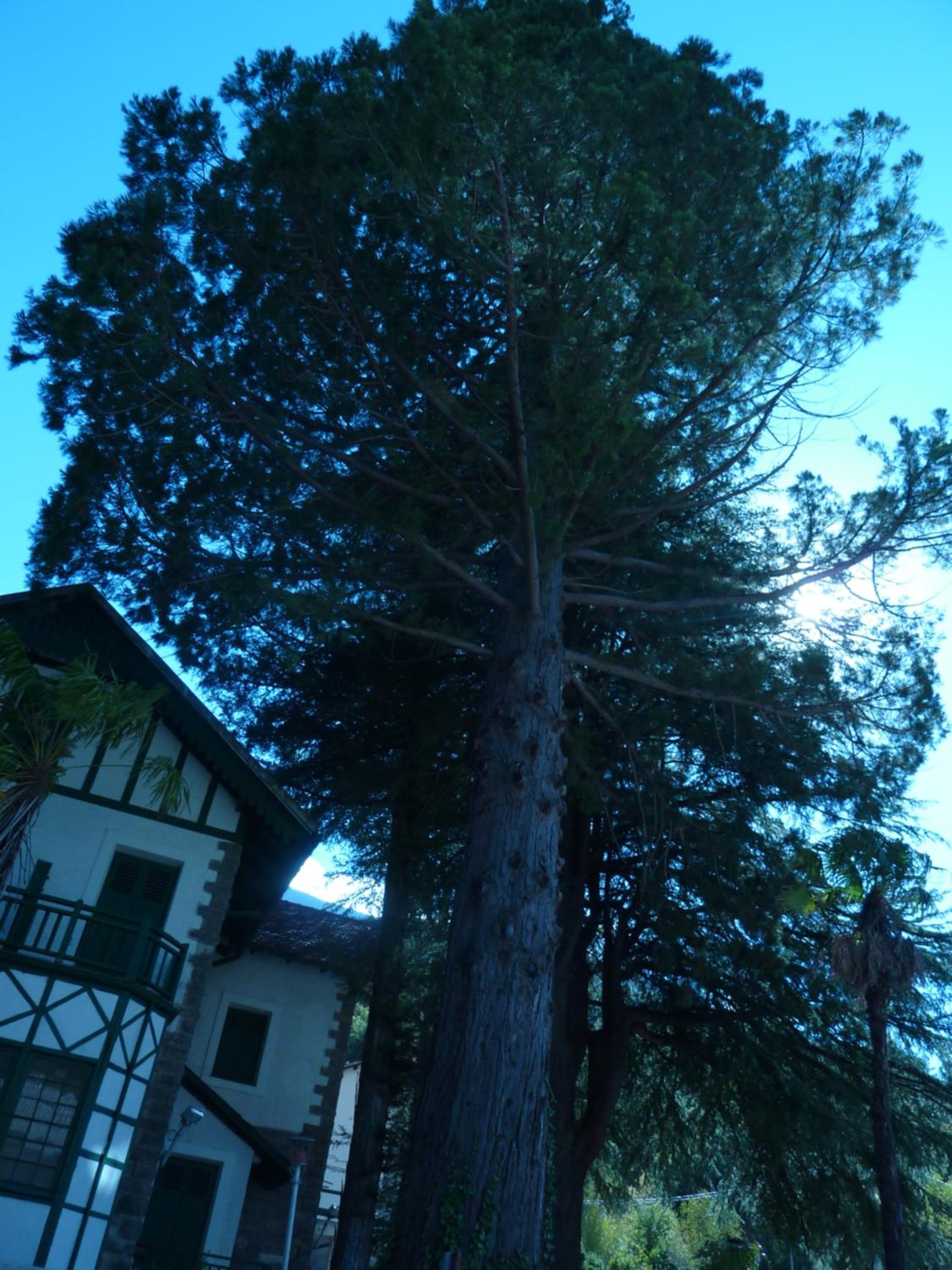 Apartment with Mountain View photo 3