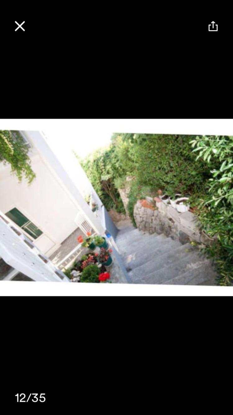 Apartment - Photo 4