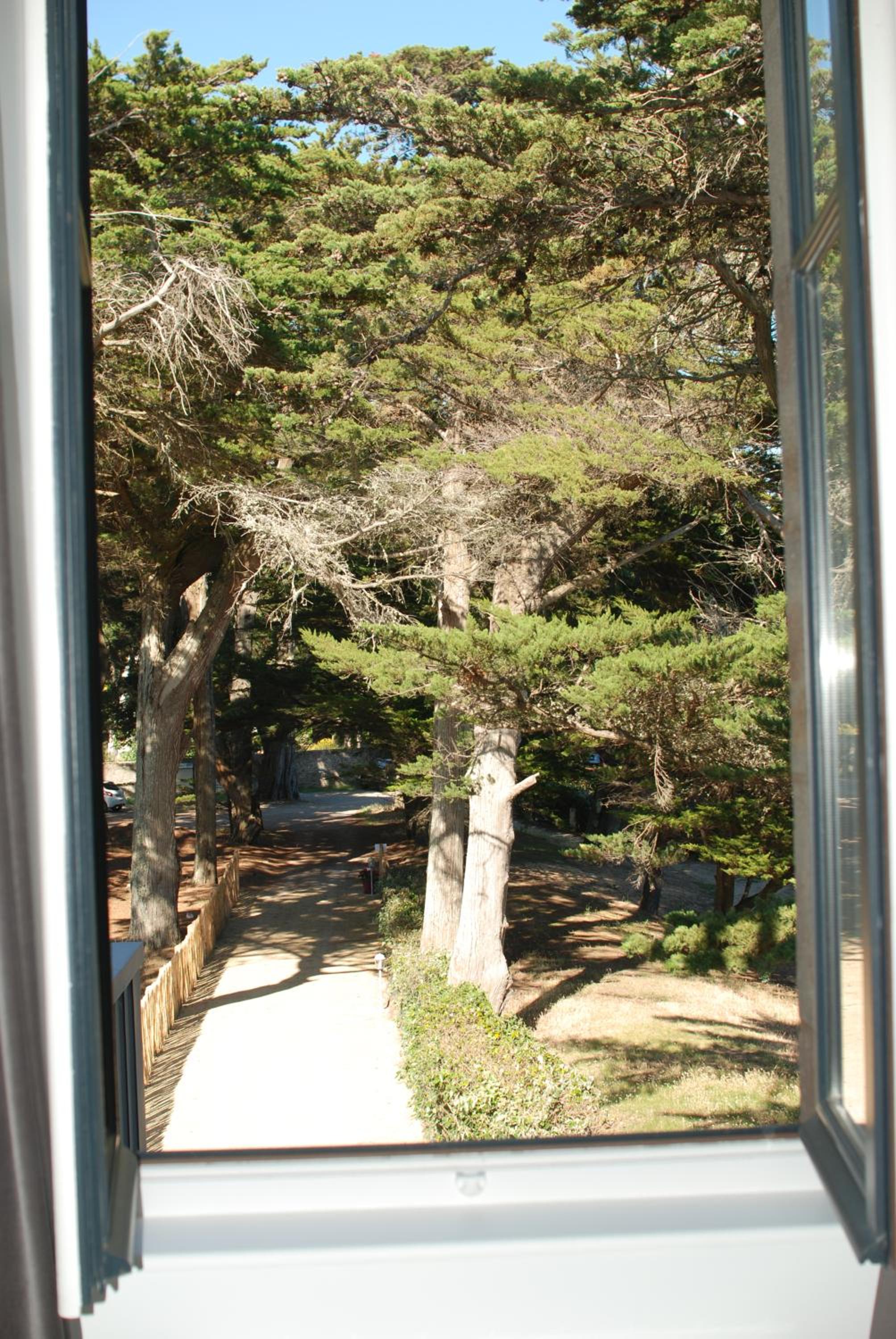 Double Room with Garden View photo 1