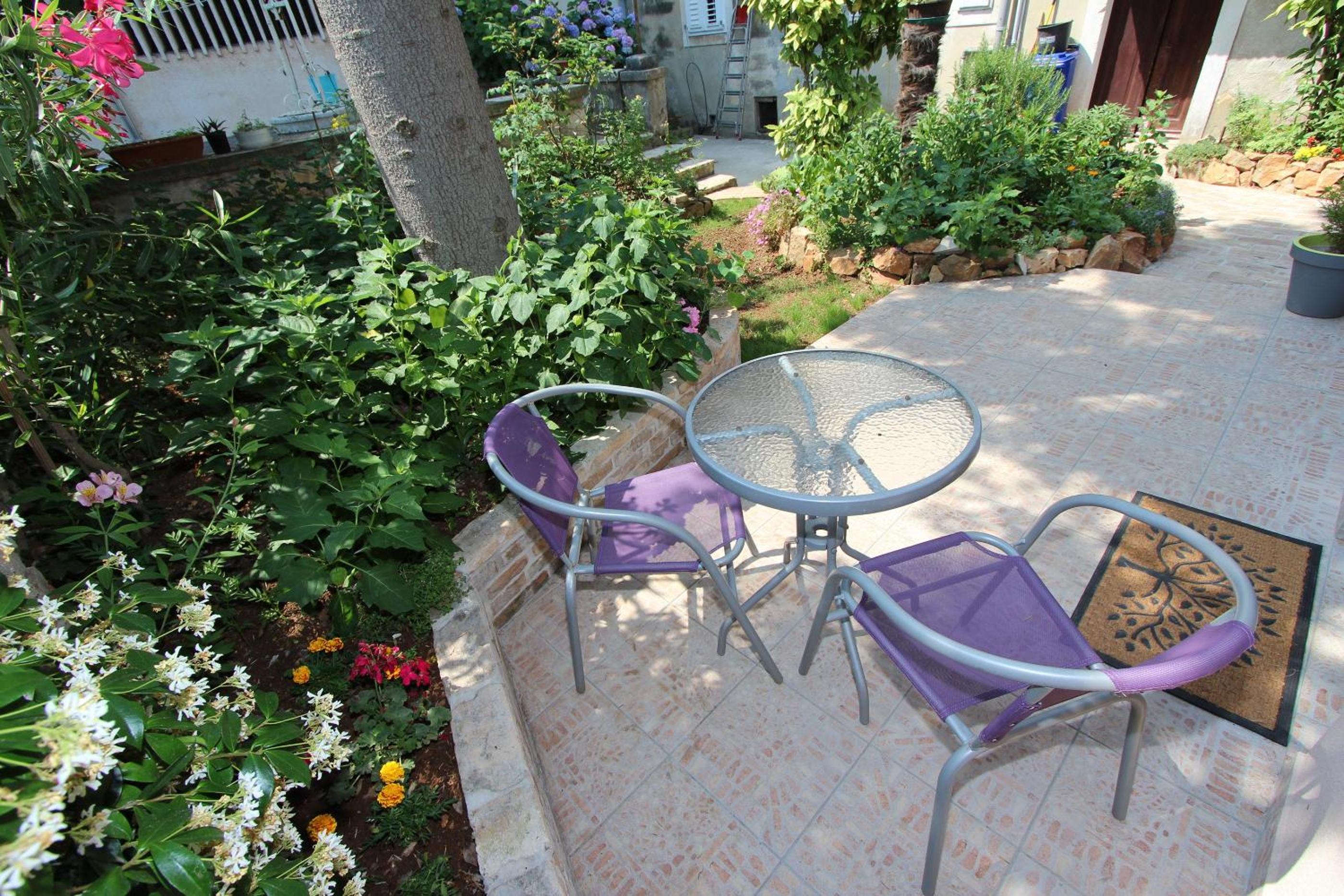 Studio with Terrace photo 2